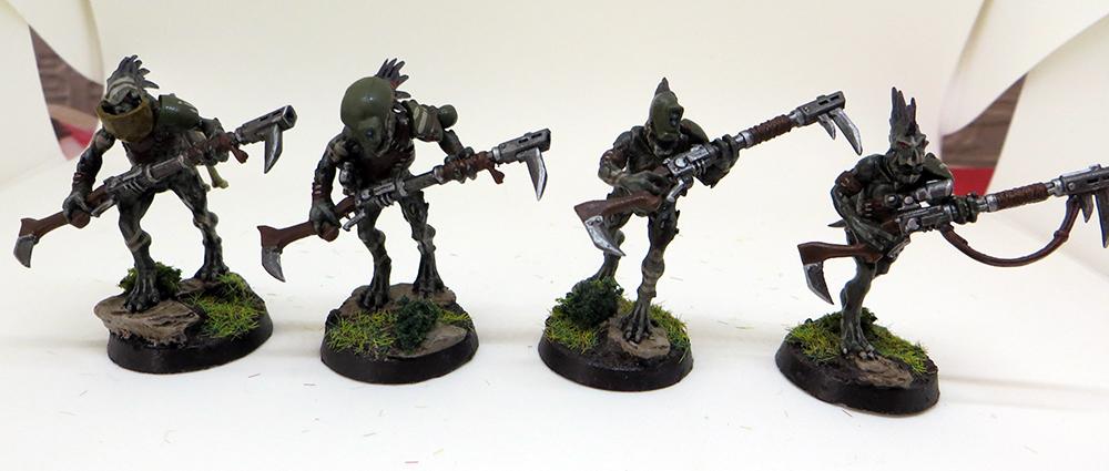 Tau, Kroot