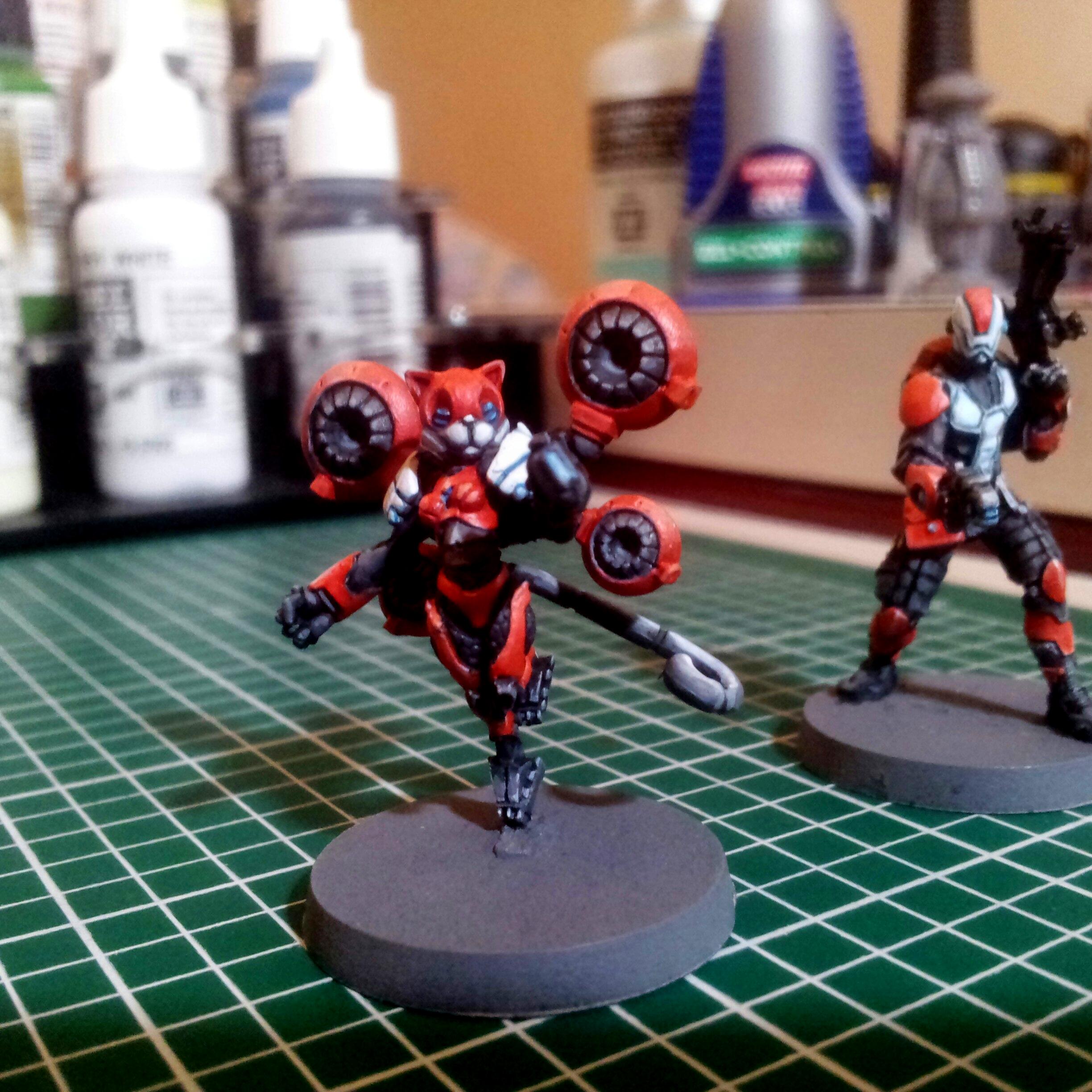 Corregidor, Infinity, Nomads, Tomcats, Zondcats