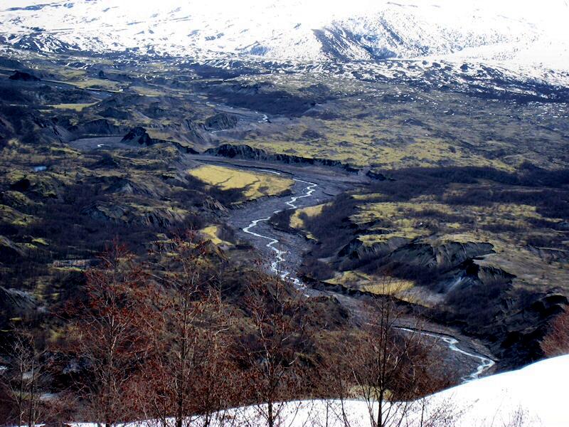 Riverbed vegitation refference