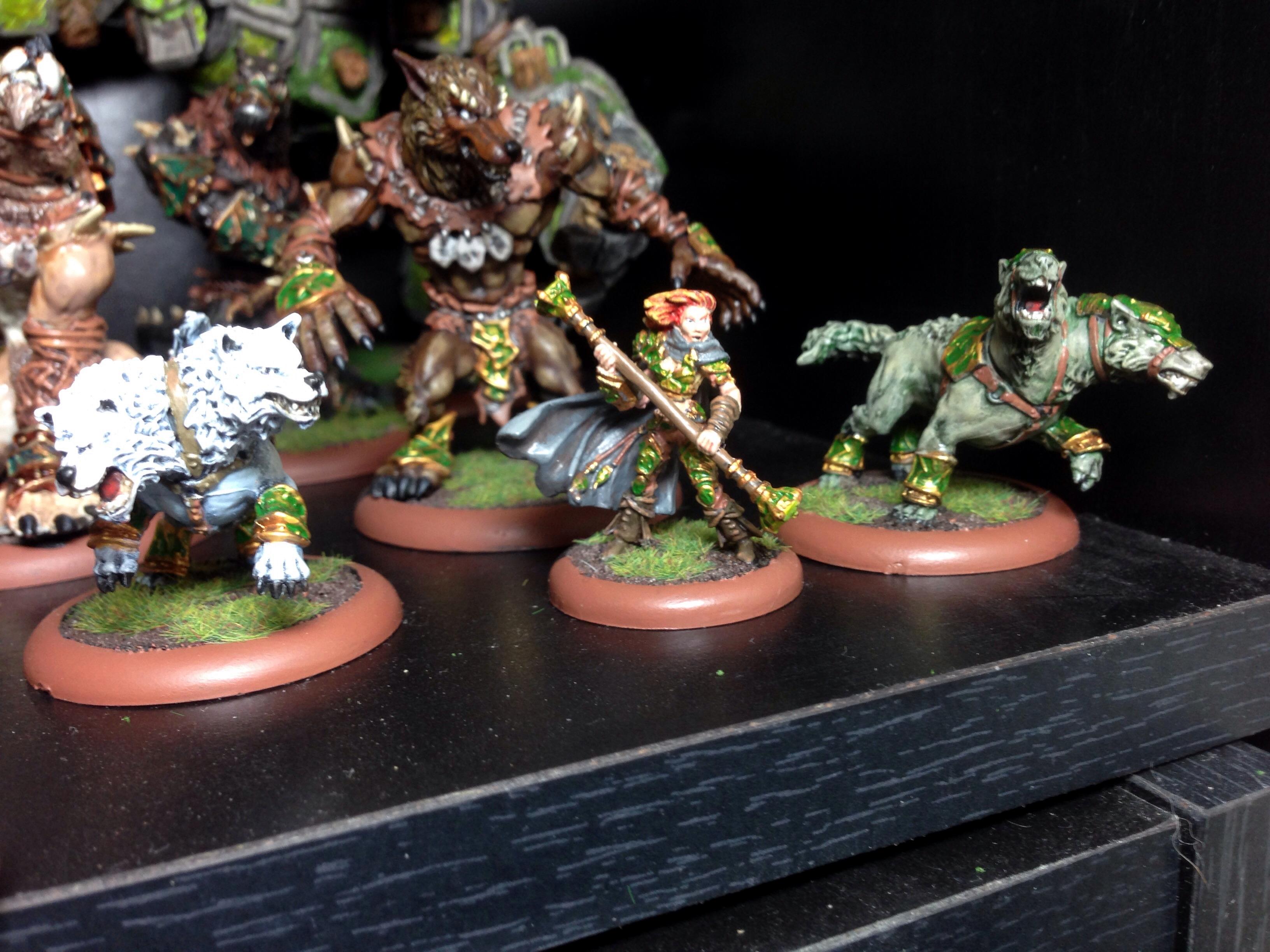 Kaya Battlegroup
