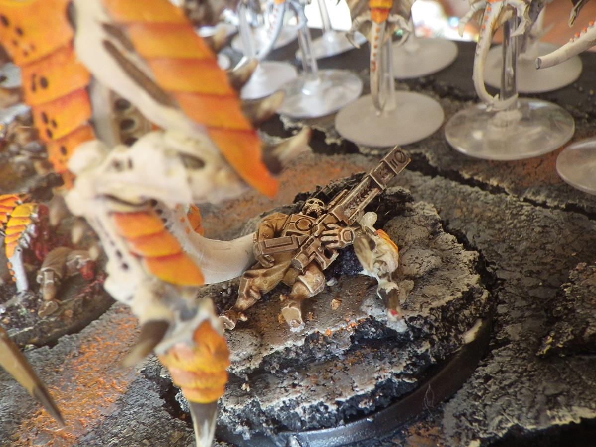 Display Board, Tyranids