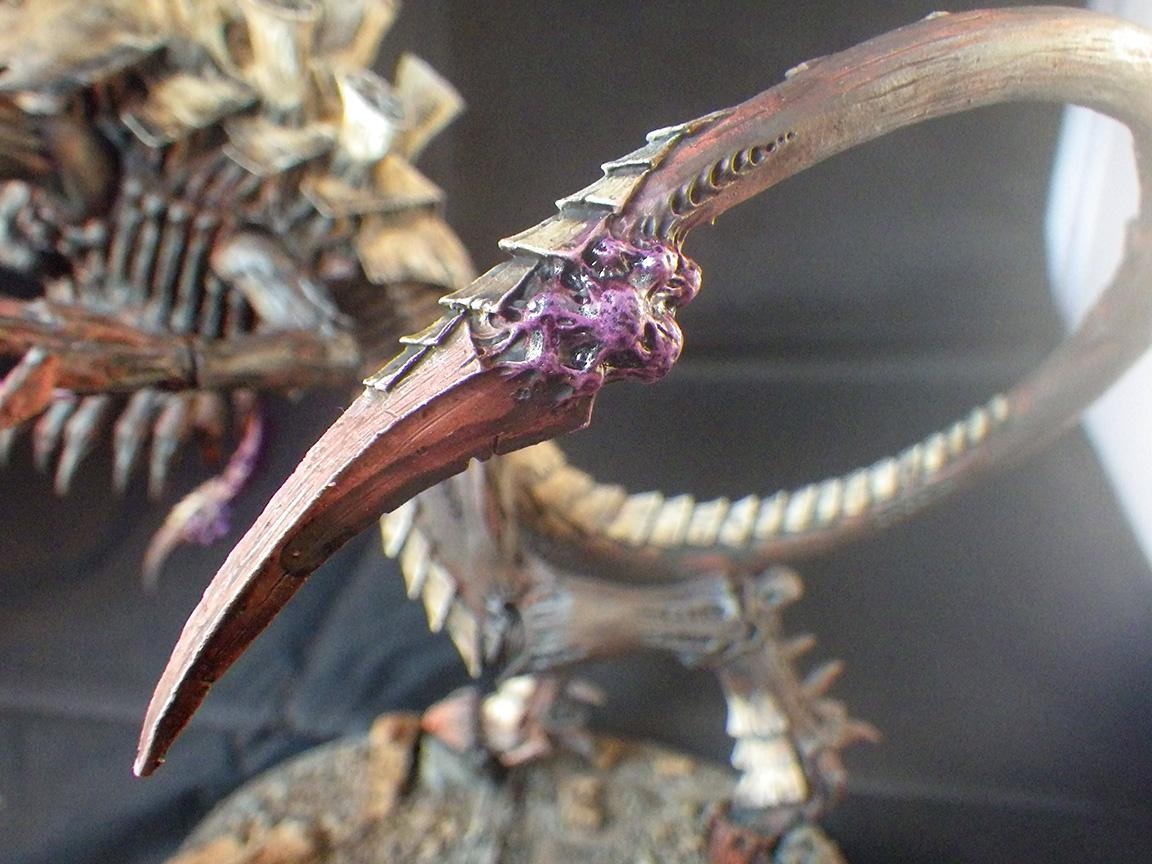 Dimachaeron