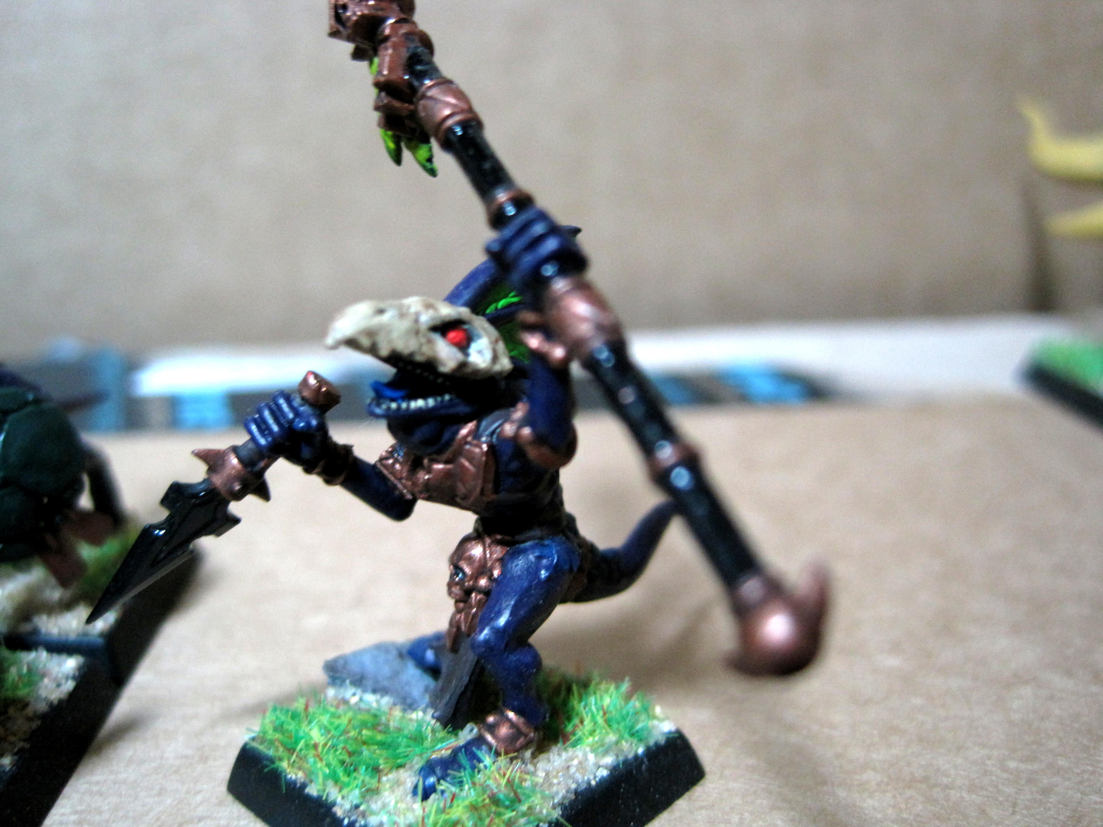 Lizardmen, Skink Priest