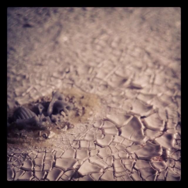 Dat Crackle!