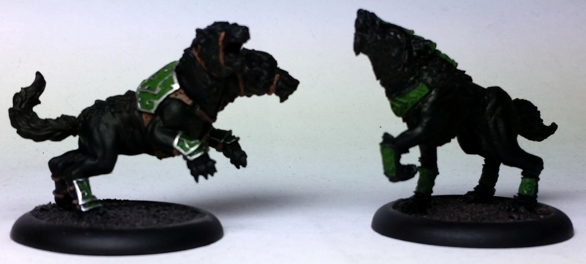 Work In Progress, WIP Canines, 16/11