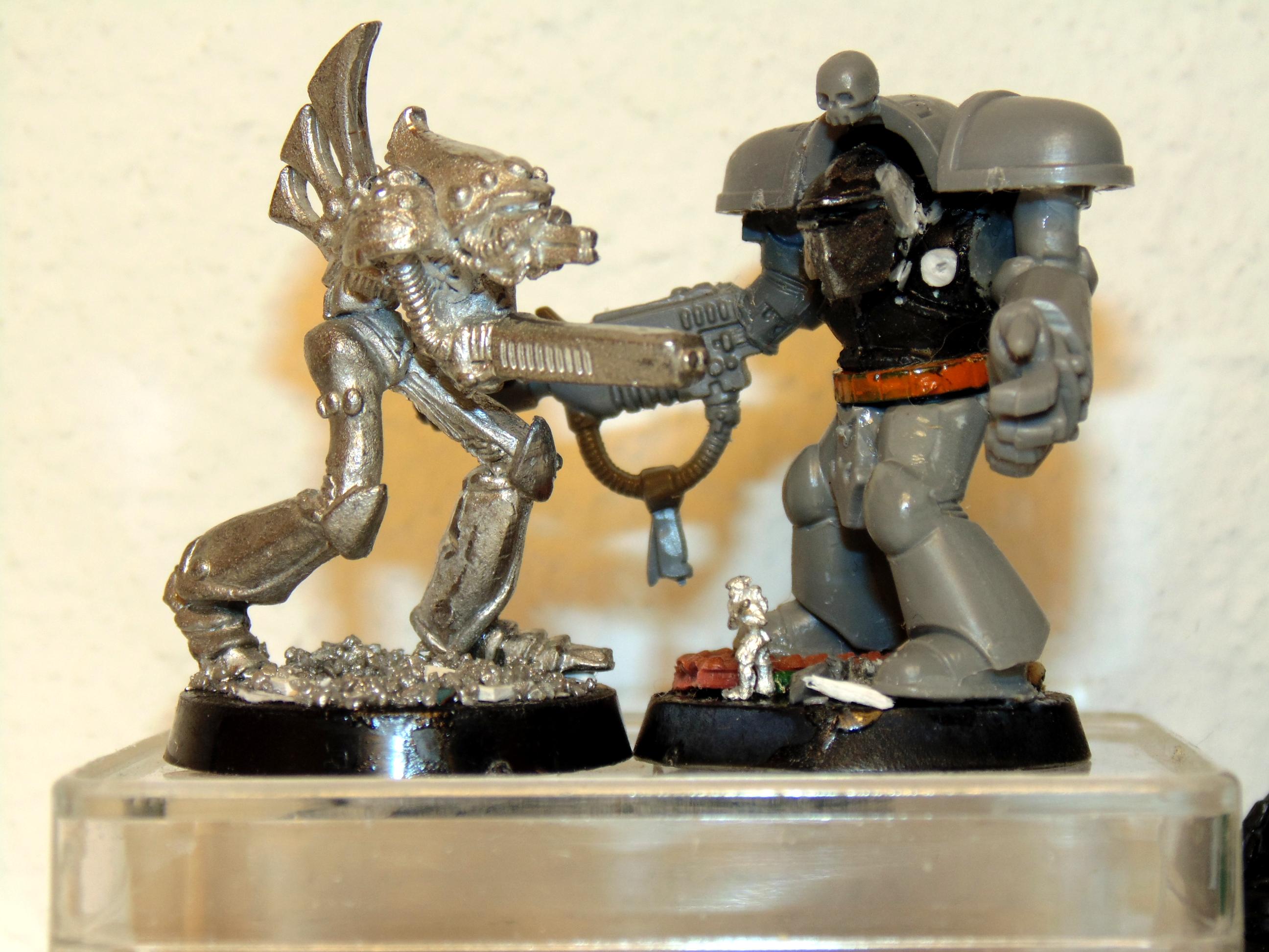 6mm, Comparison, Conversion, Epic, Imperial, Knights, Land Raider, Scratch Build, Size, Space, Space Marines, Thunderhawk, Titan, Warlord