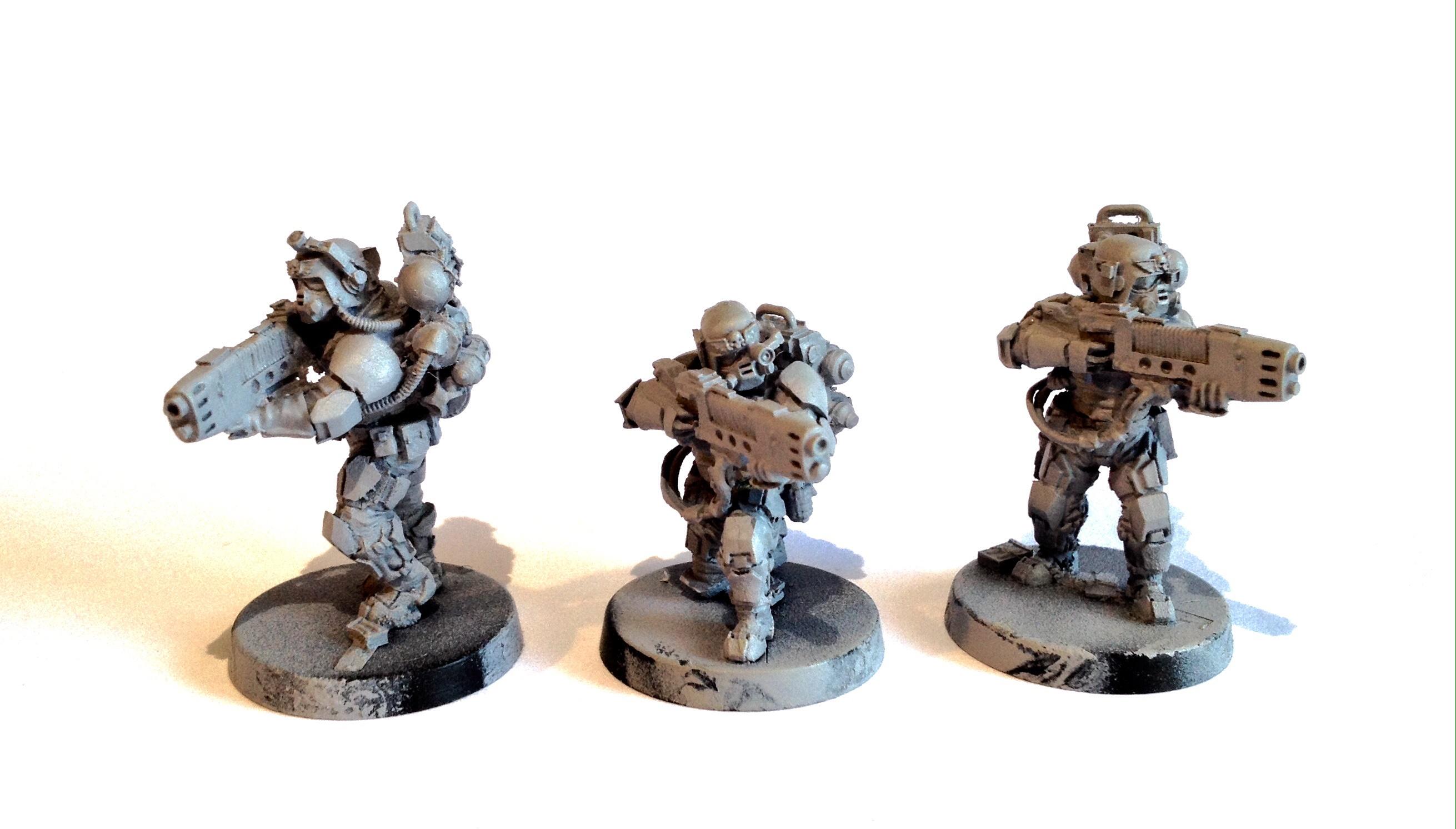 The plasma team