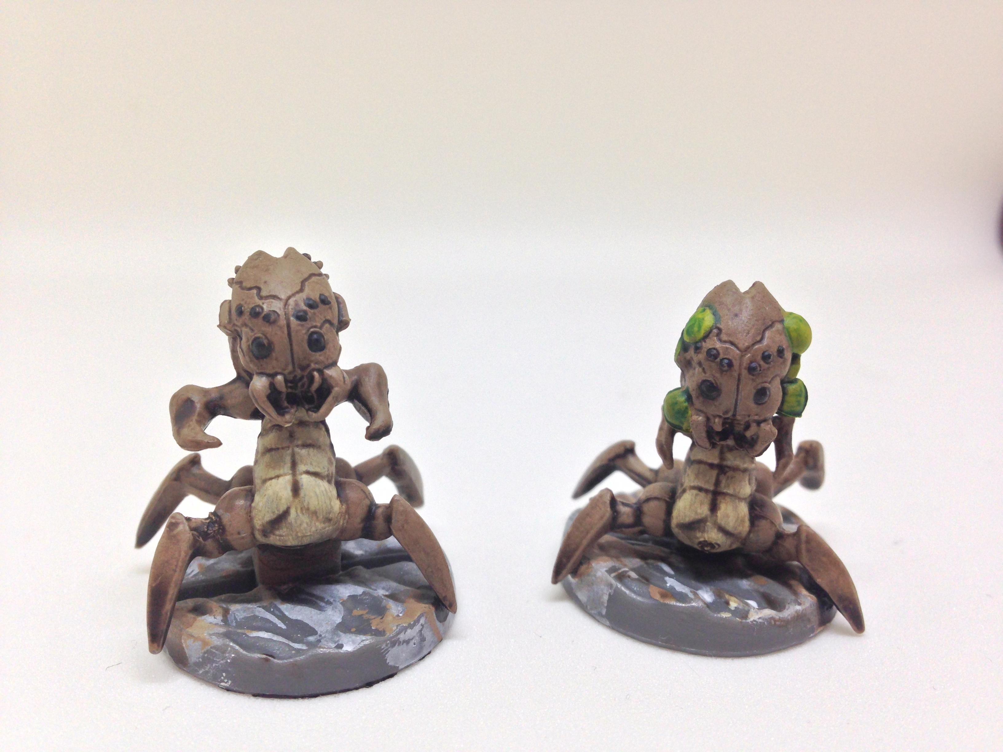 Crawlers