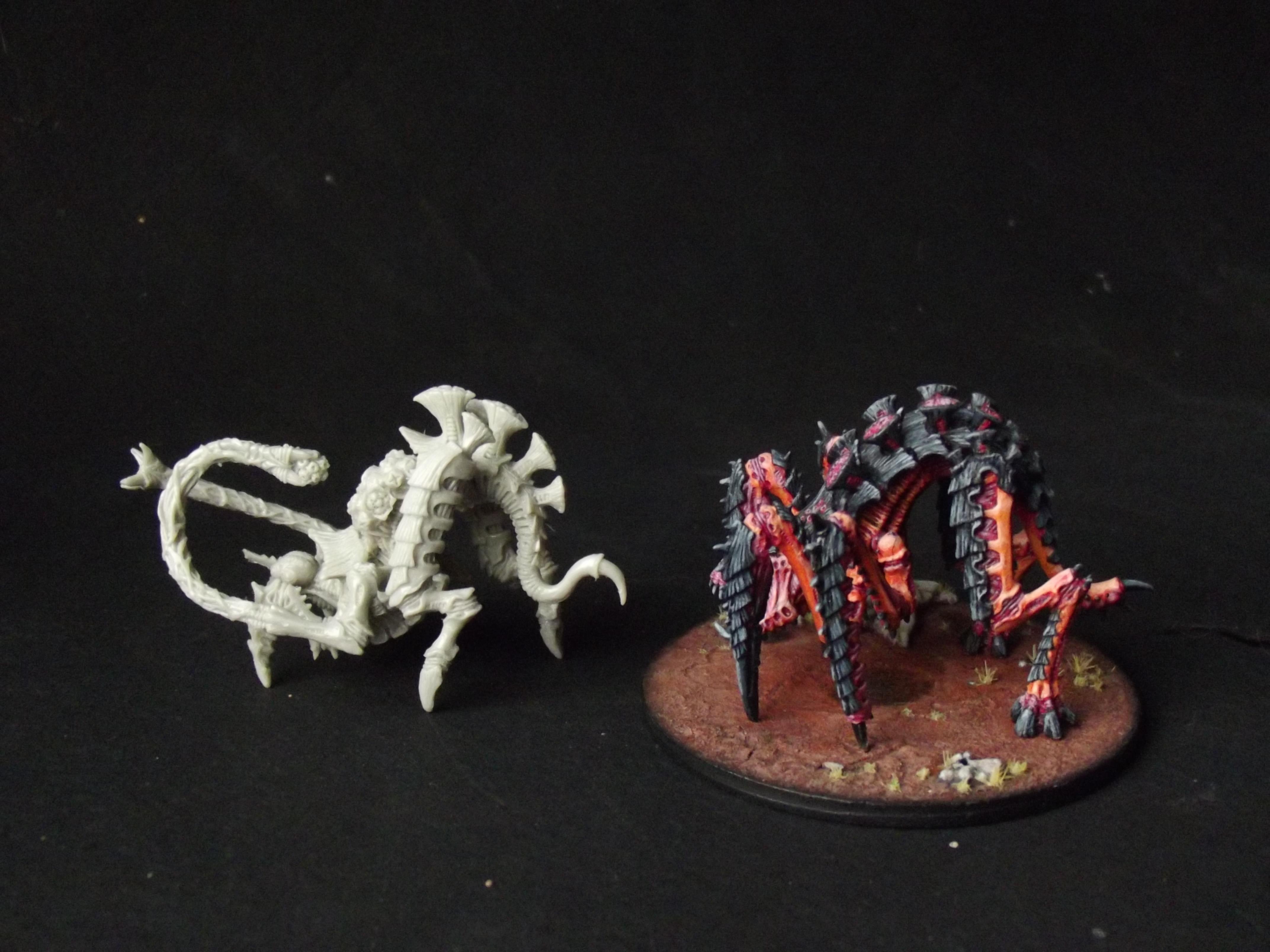 Dalys rupex size comparison