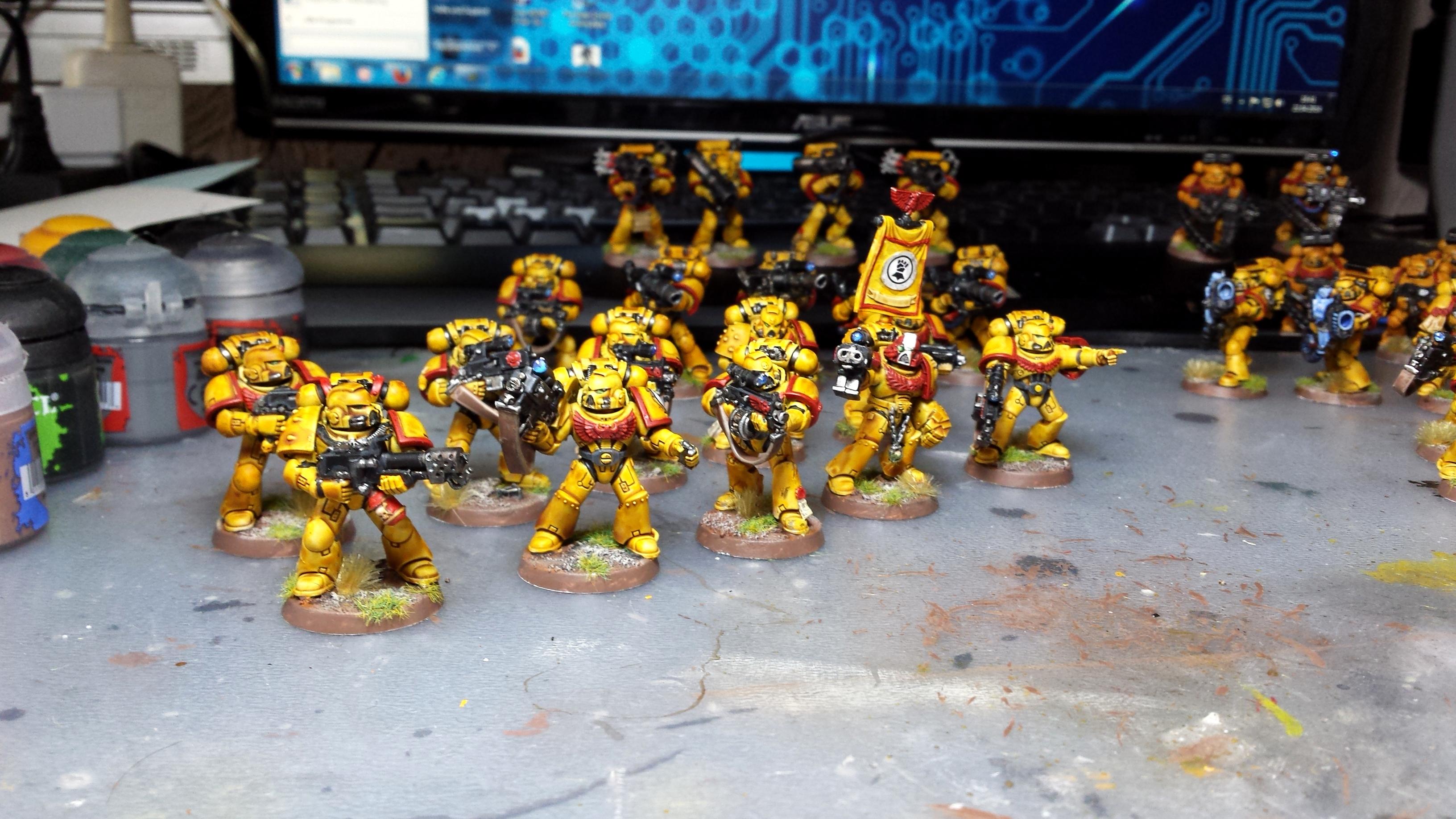 Imperial Fists, Tactical Squad 1