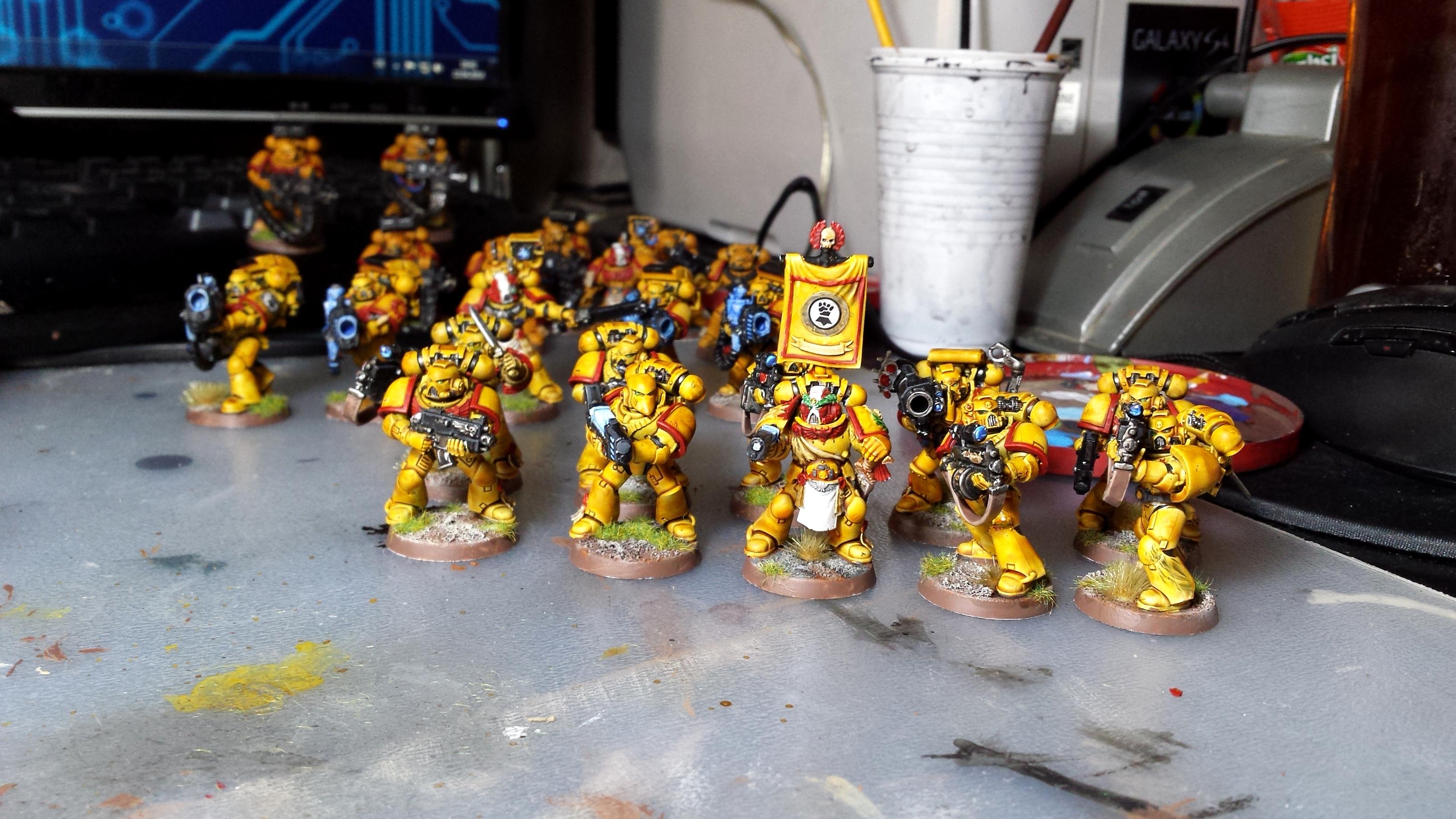 Excellent Highlighting, Excellent Low Lighting, Imperial Fists