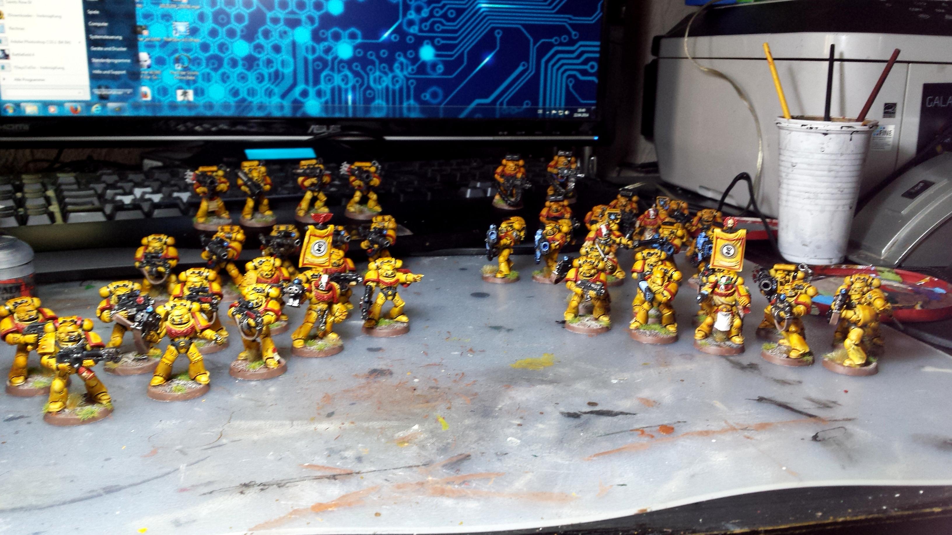 Imperial Fists, Infantry