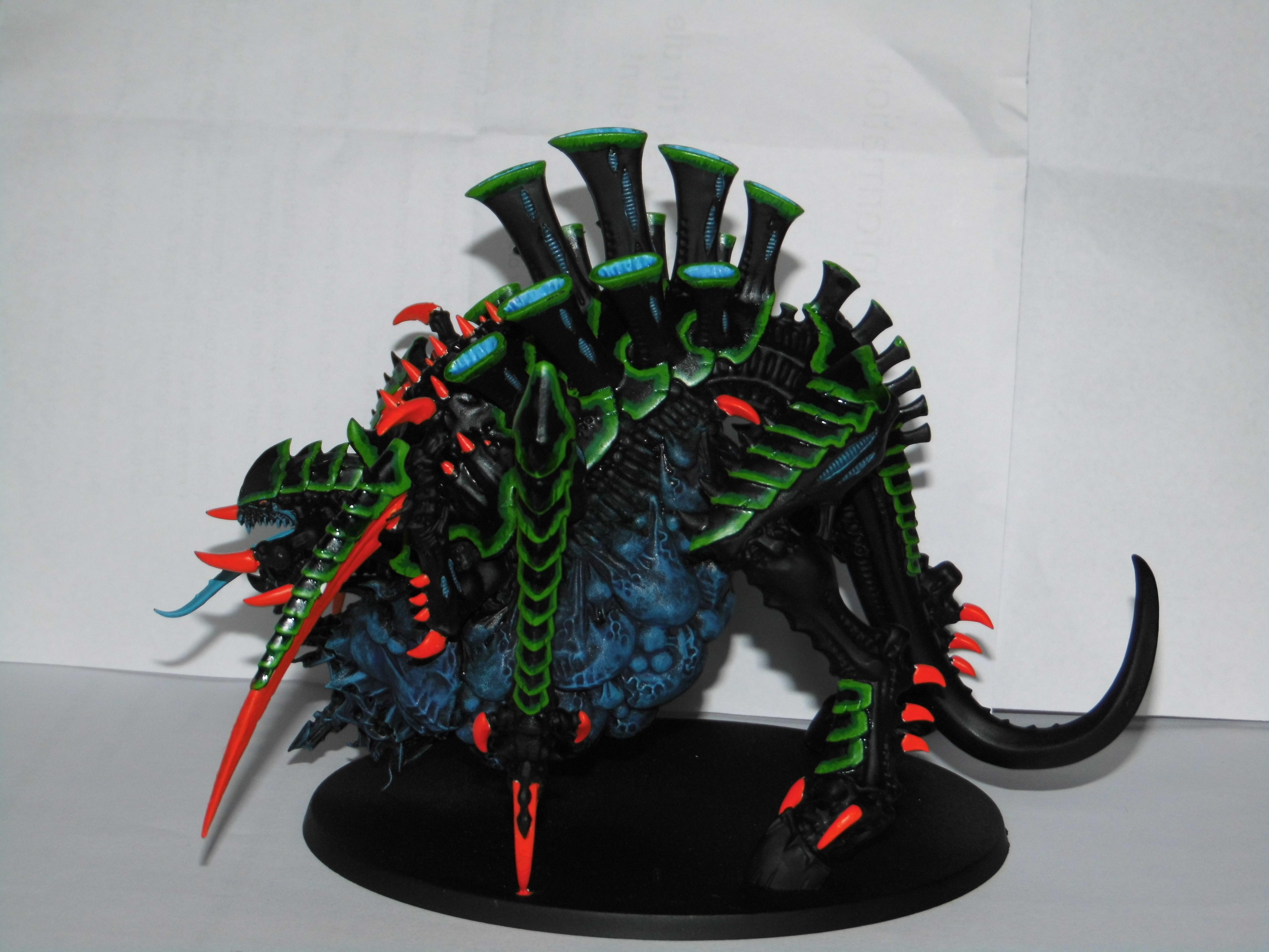 Tervigon1_1
