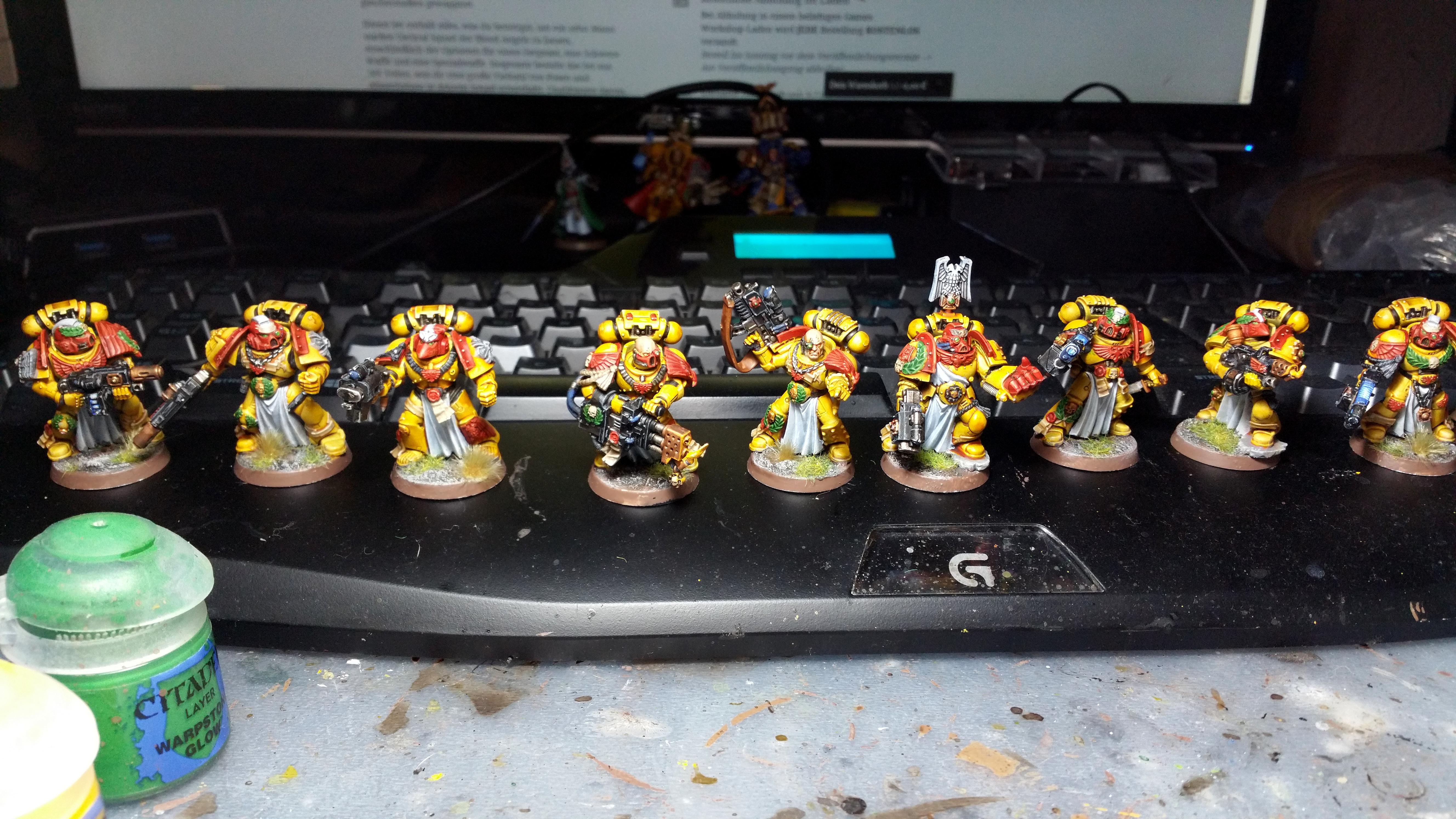 Imperial Fist Sternguard