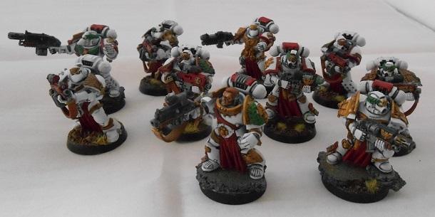Army, Finished, Showcase, Space Marines, Sternguard, White Scars