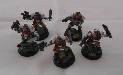 Army, Finished, Scouts, Showcase, Space Marines, White Scars