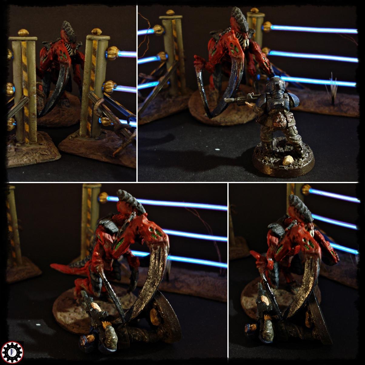 El Wire, Lighting, Scratch, Terrain