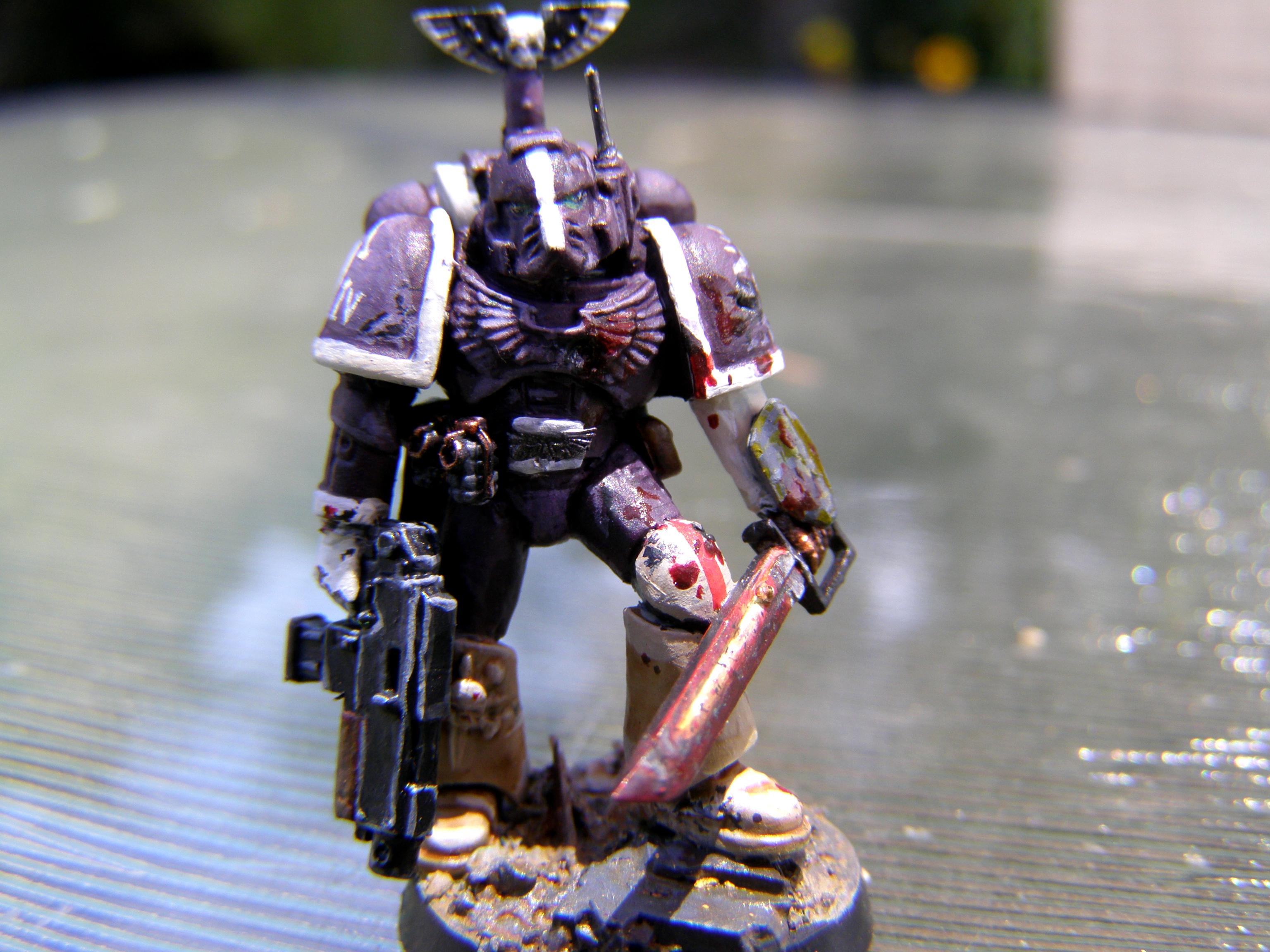Conversion, Sgt, Sons Of Dawn, Space, Space Marines