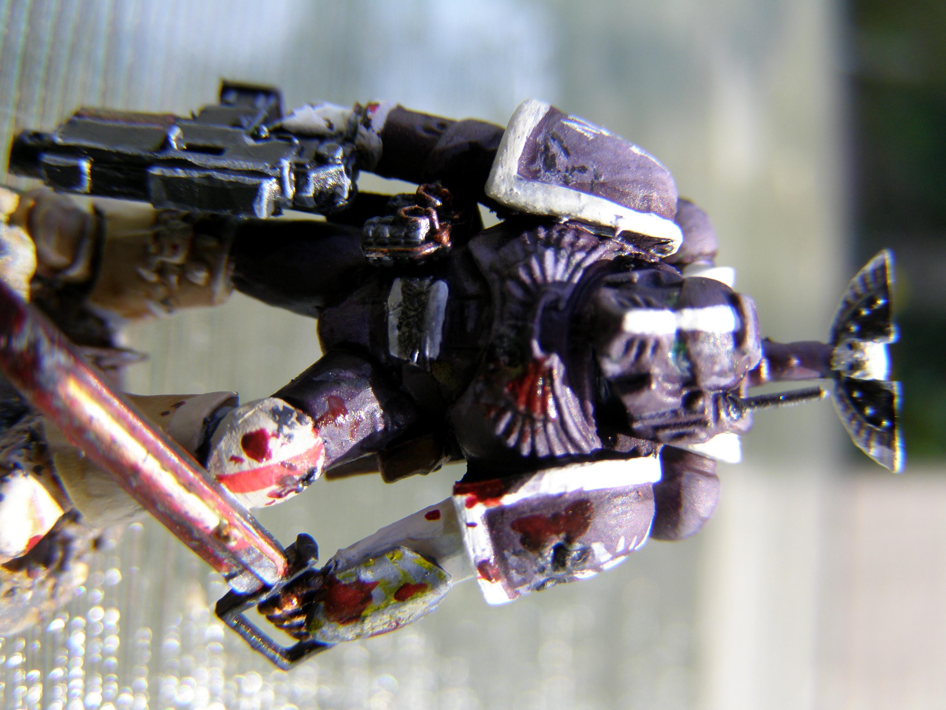 Conversion, Sgt, Sons Of Dawn, Space, Space Marines