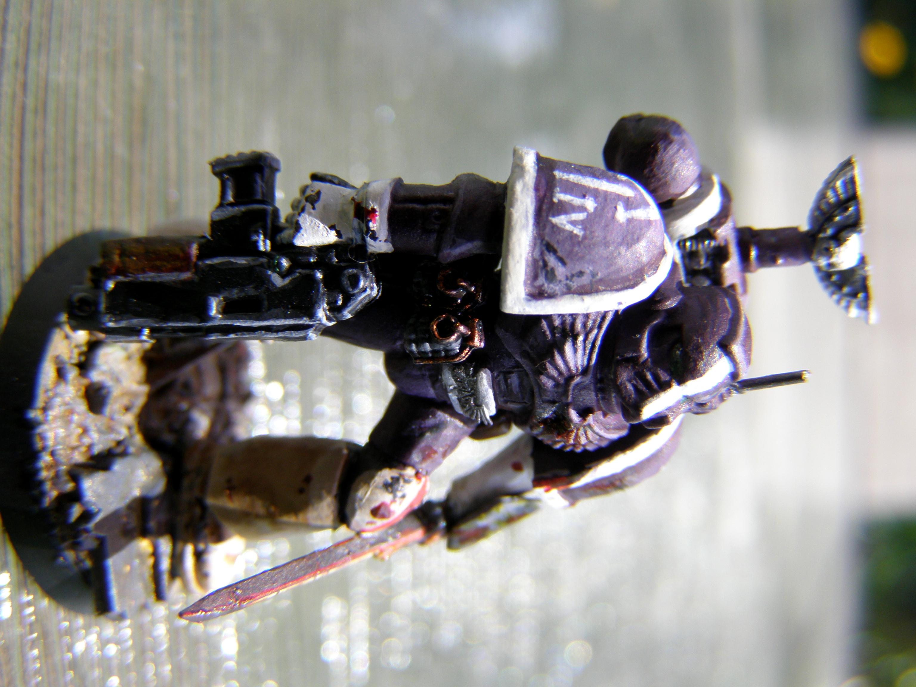 Conversion, Sgt, Sons Of Dawn, Space, Space Marines