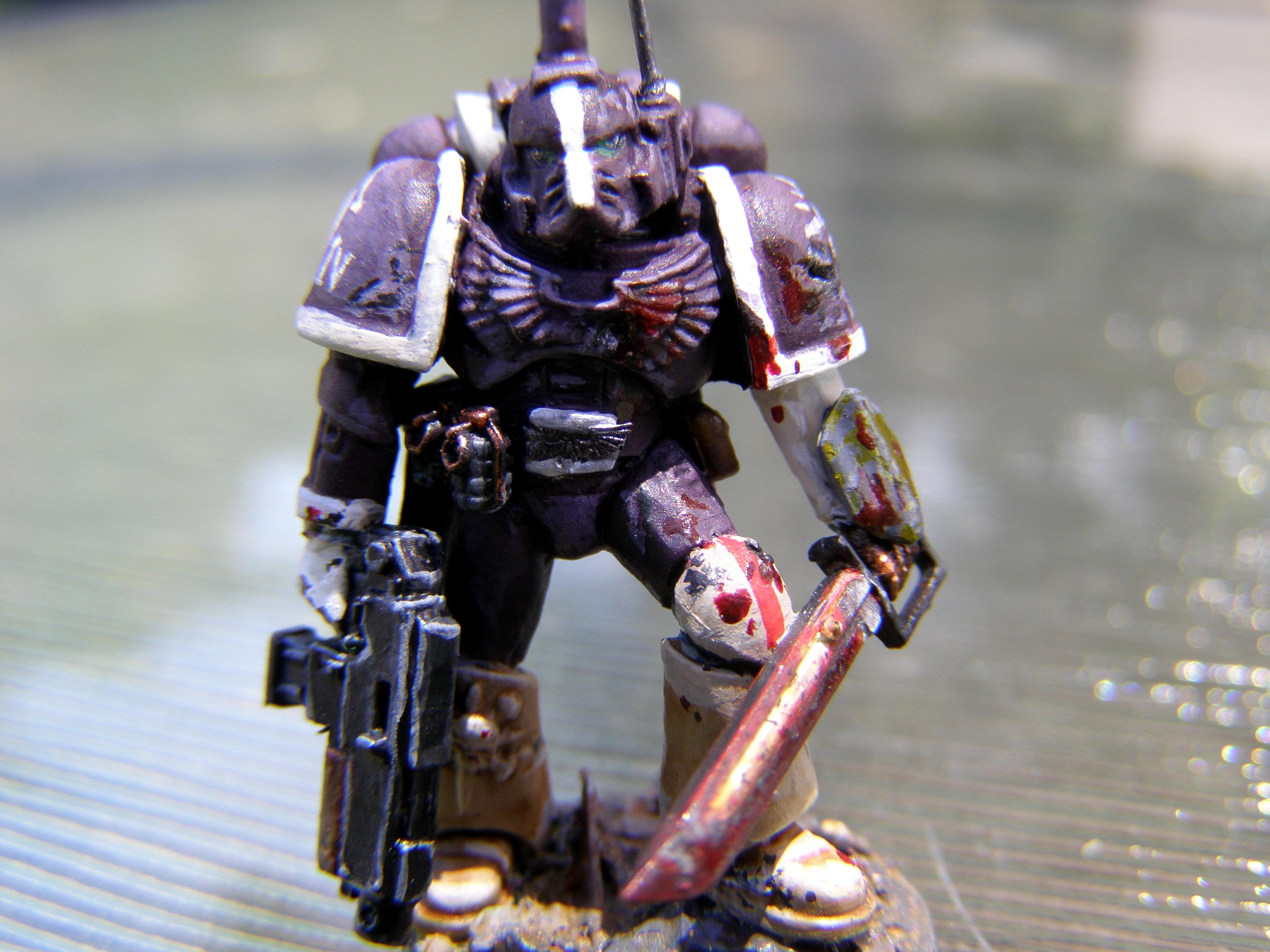Conversion, Sgt, Sons Of Dawn, Space, Space Marines