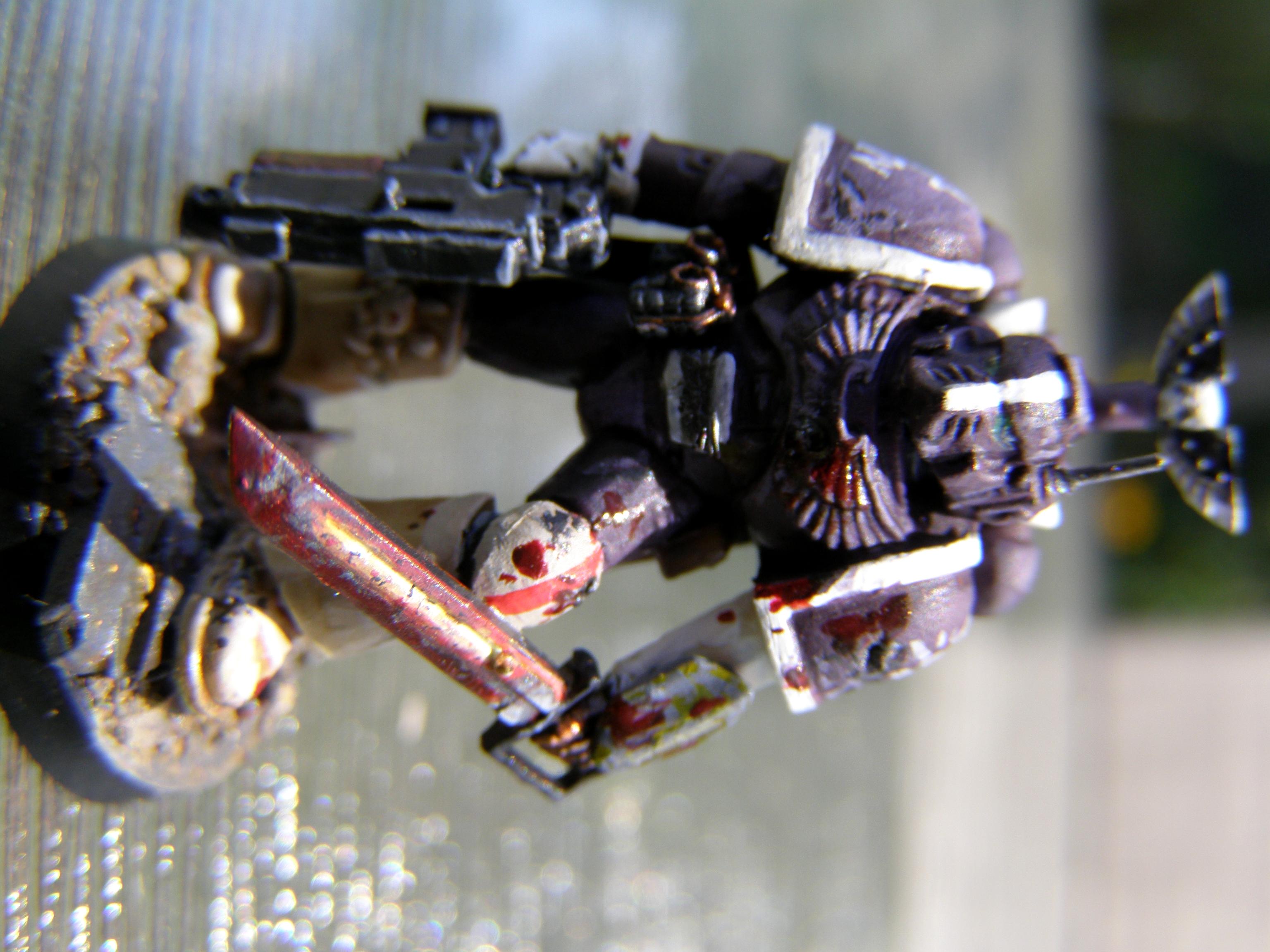 Conversion, Sgt, Sons Of Dawn, Space, Space Marines