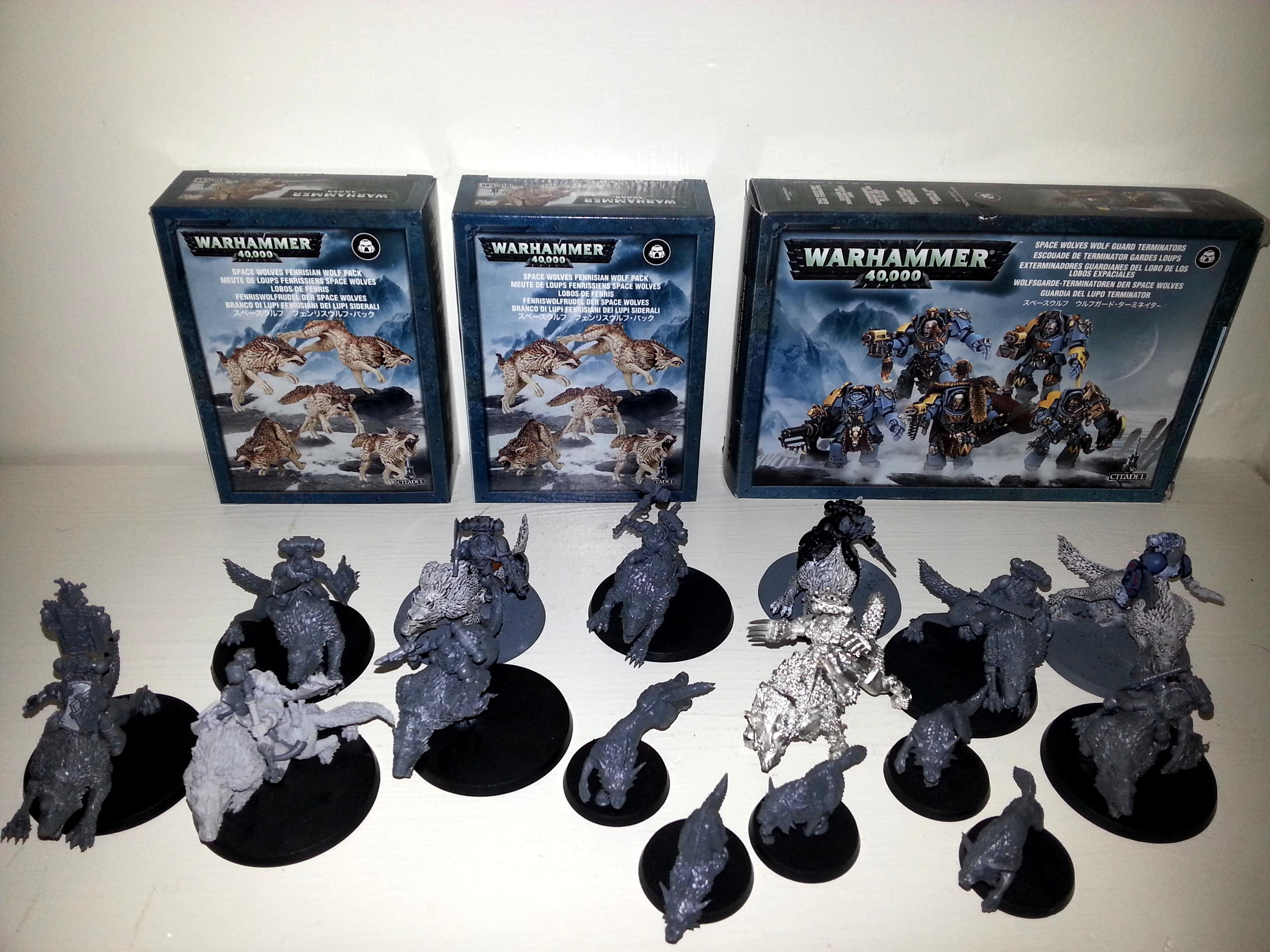 Army, Space, Space Wolves, Sw, Unpainted, Wolf, Wolves