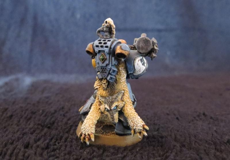 Space Wolves, Pelt close up