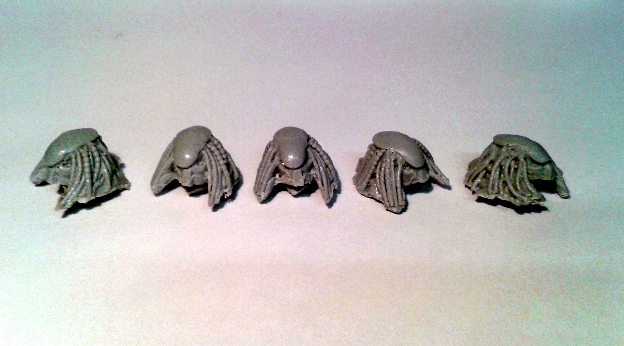 Xeno Heads, Predmarine heads