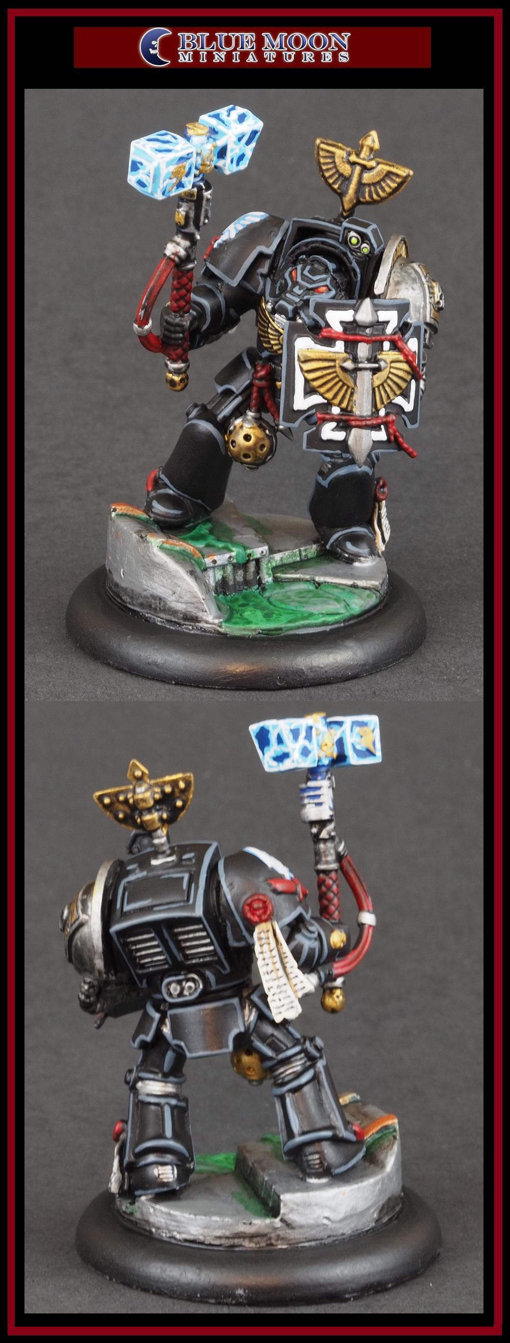 Death Watch, Pro Painted, Warhammer 40,000