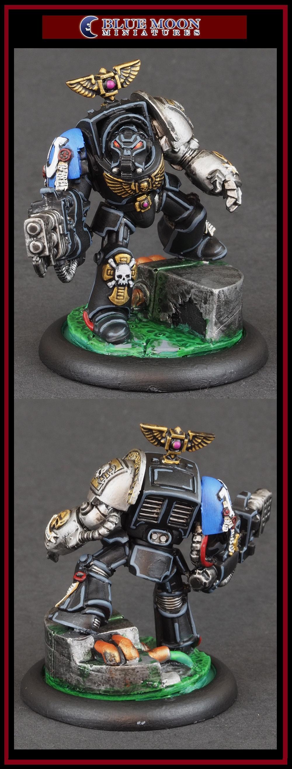Death Watch, Pro Painted, Warhammer 40,000