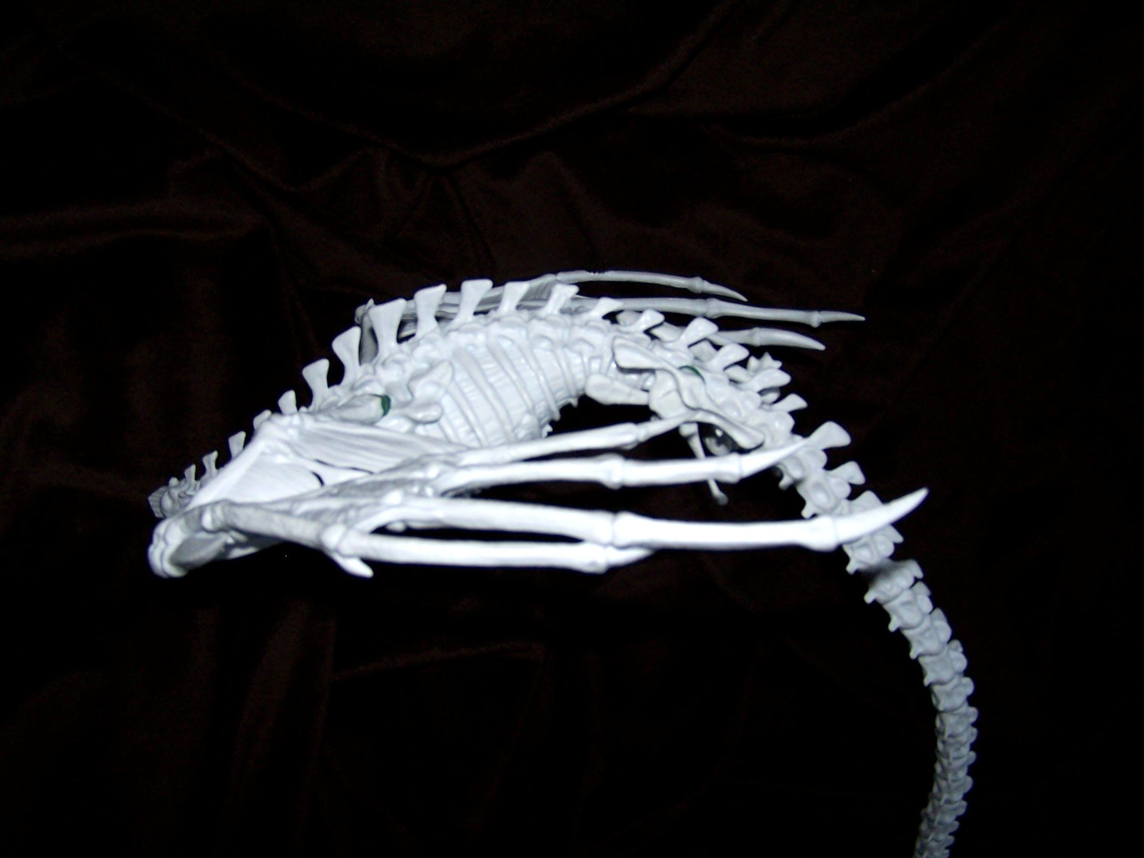Bones, Dragon, Kaladrax, Reaper, Silvermk2, Work In Progress