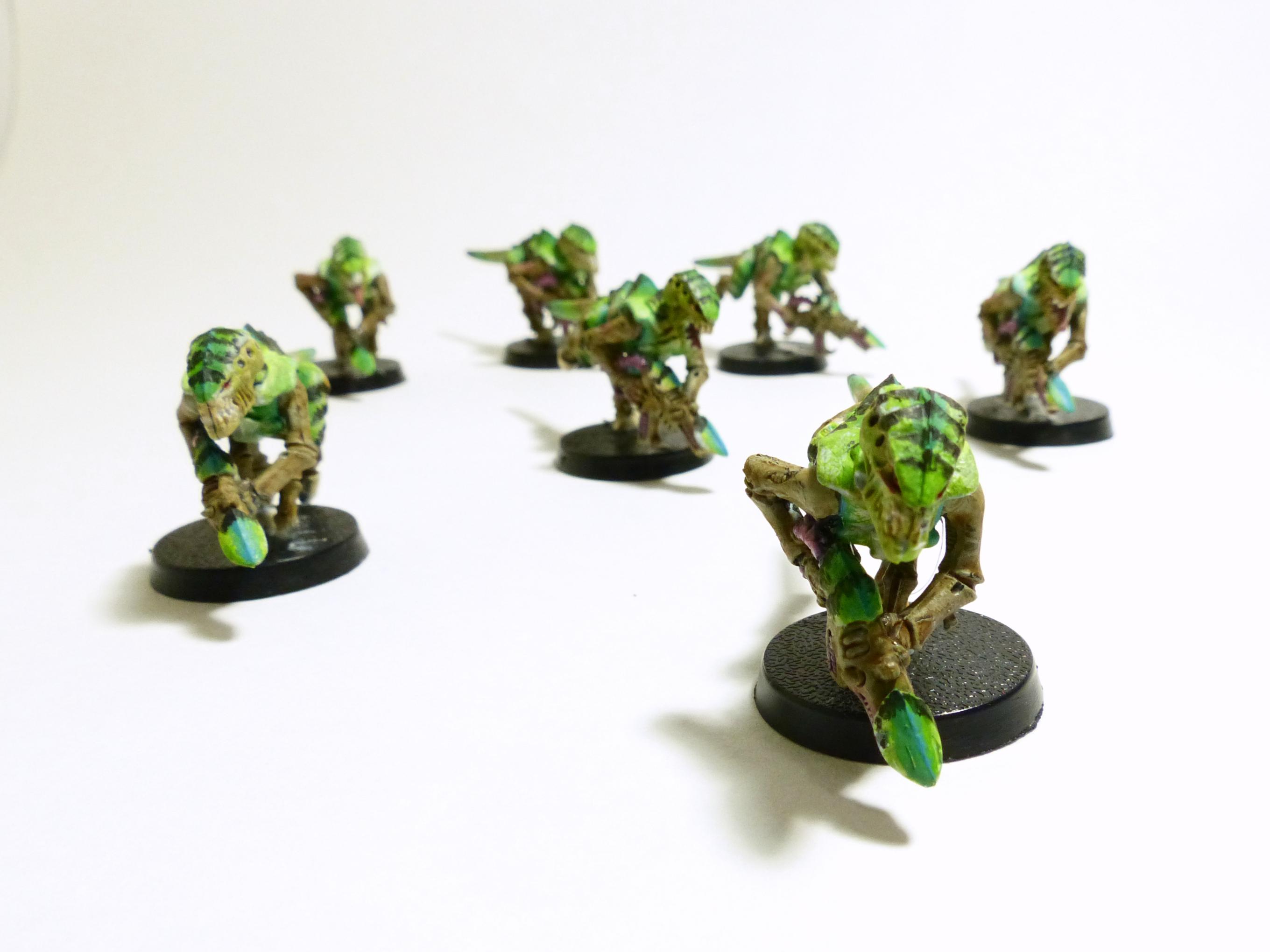 Termagants, Tyranids