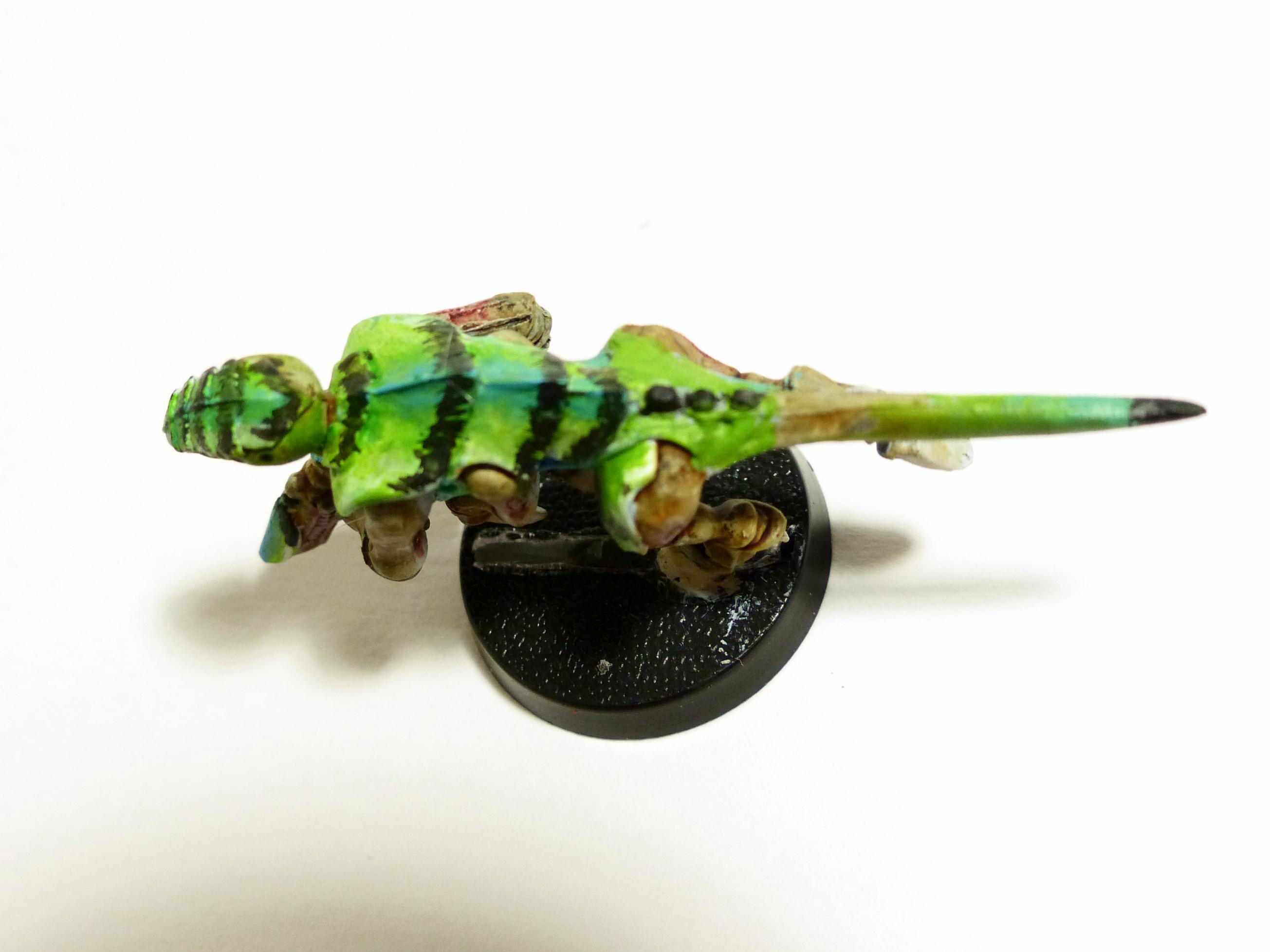 Termagants, Tyranids