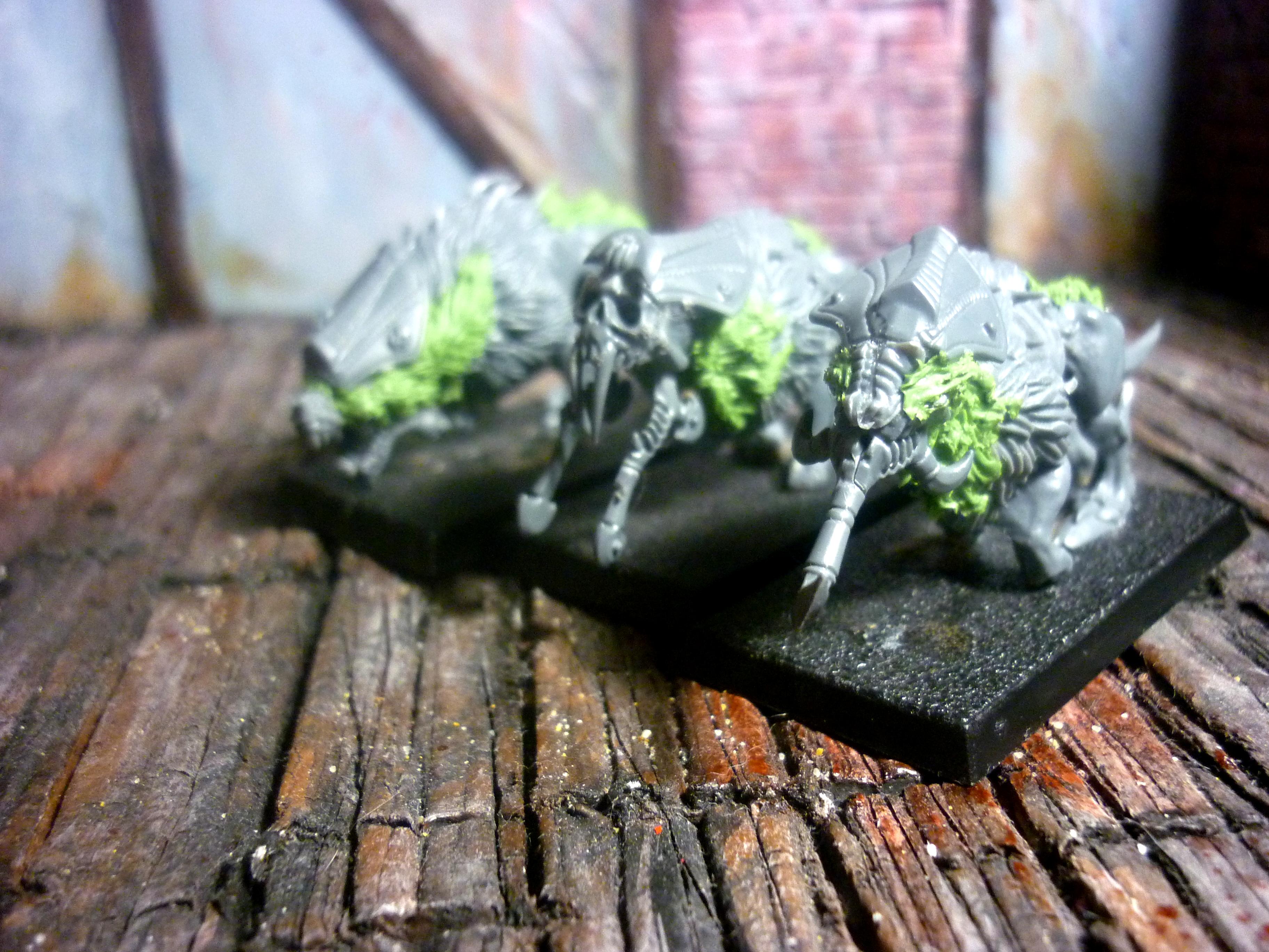 Chien Du Chaos, Conversion, Kemhri, Nurgle