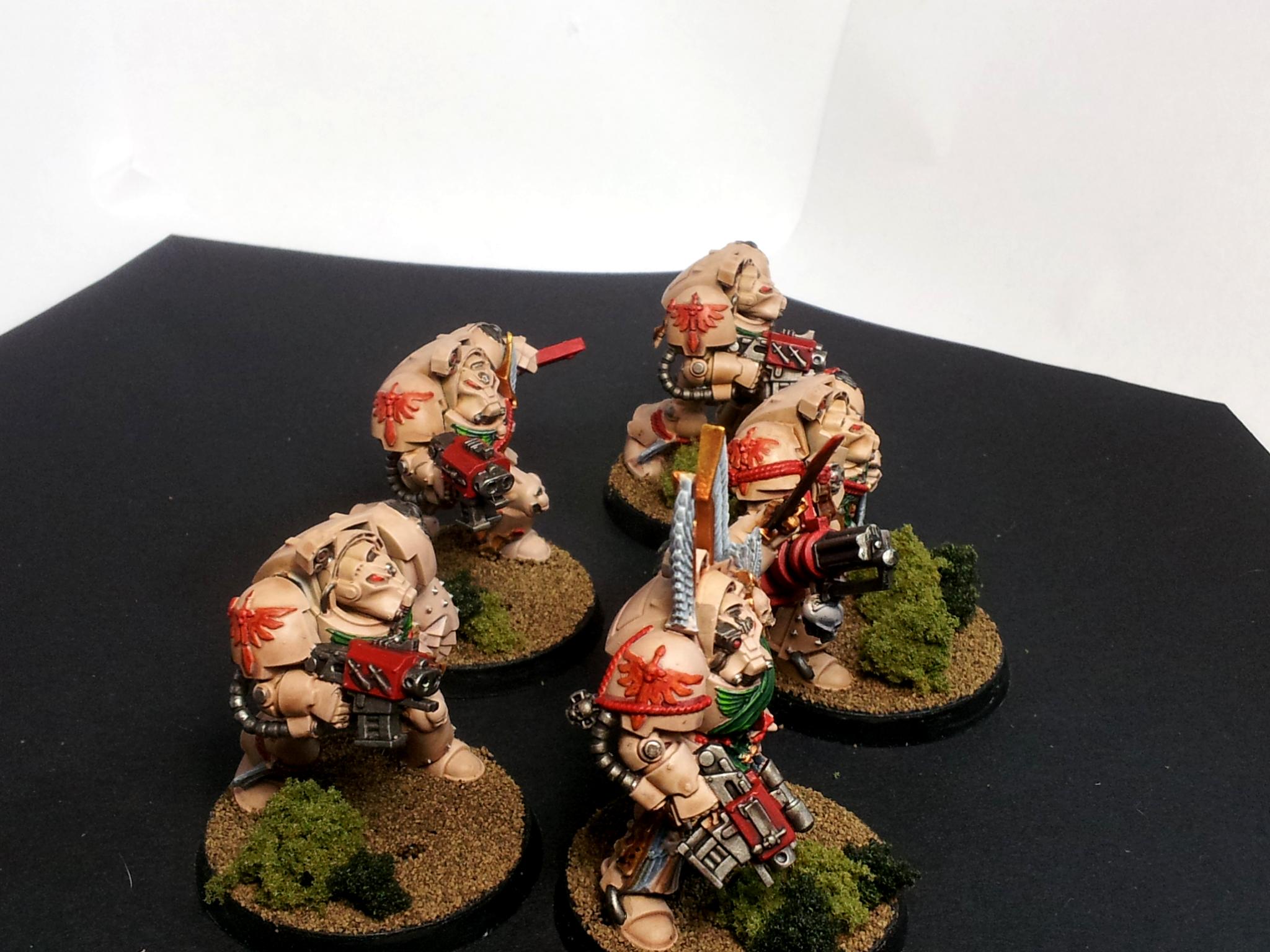DV Dark angles termies