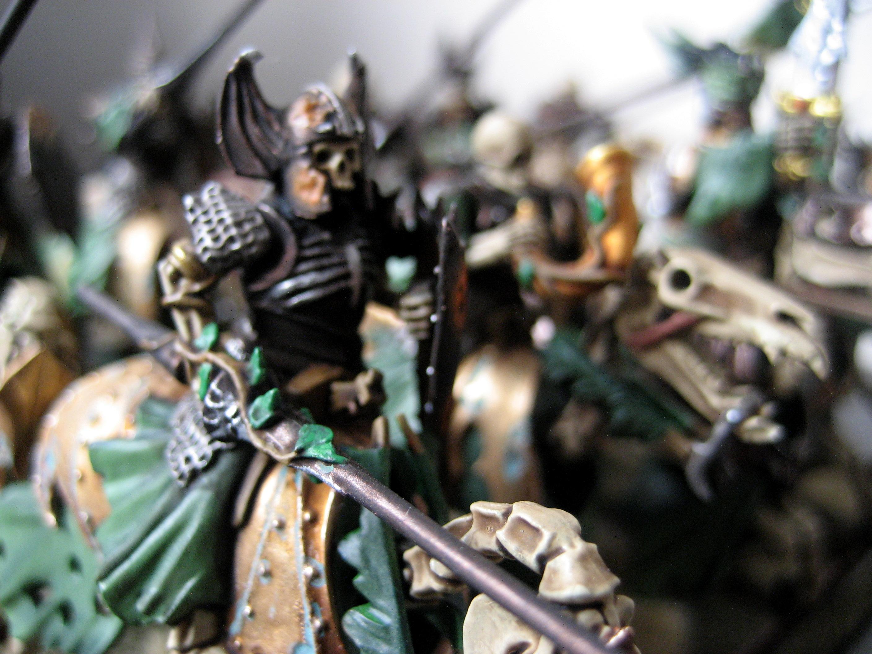 Black, Counts, Knights, Unit, Vampire