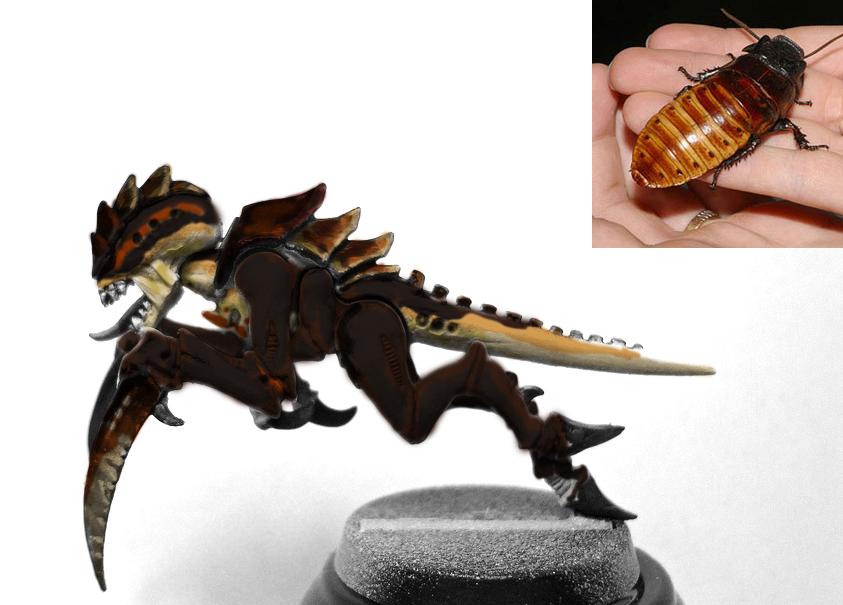 6 orange roachy rough test