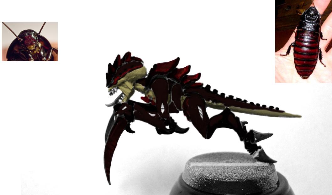 9 blackred roachy rough test
