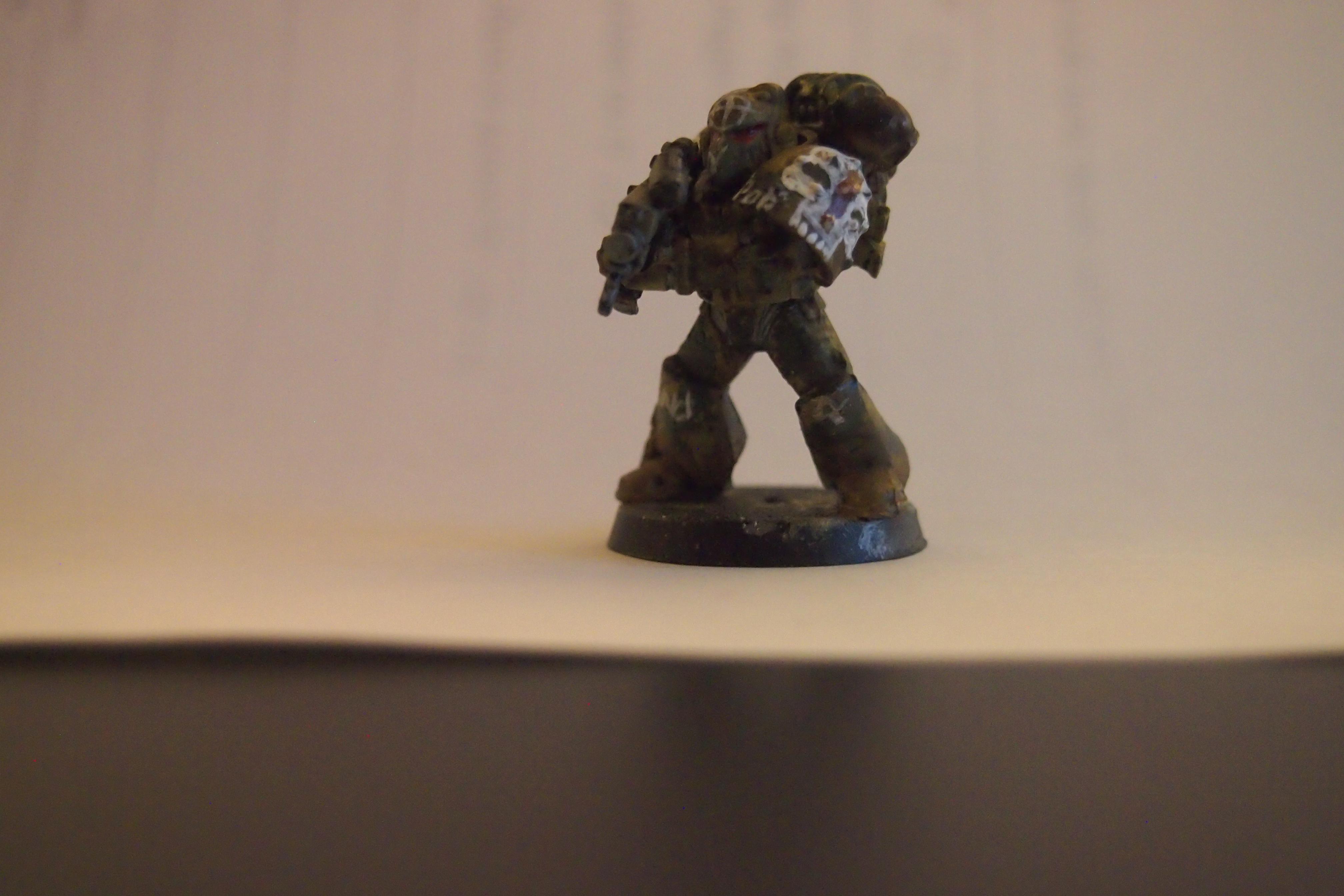 Post Secession loyalist tactical marine