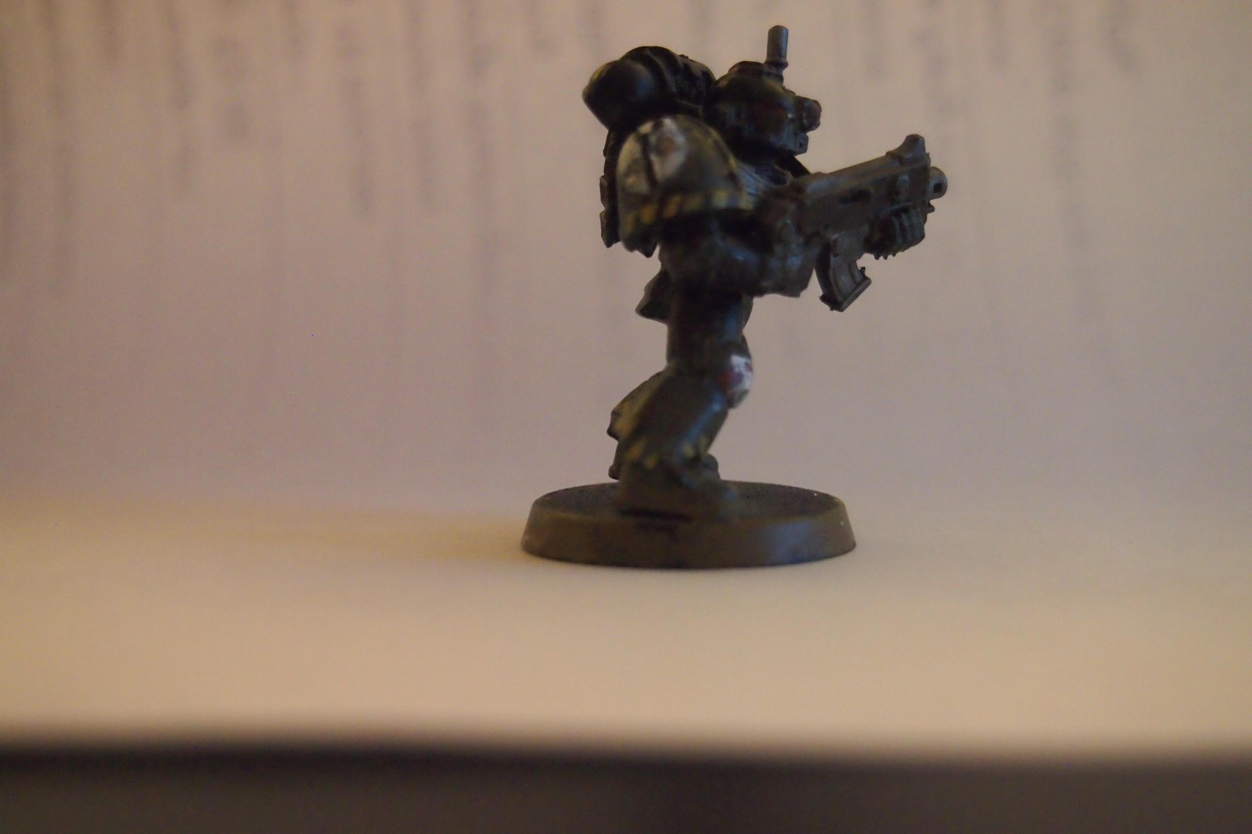 Insignia 1