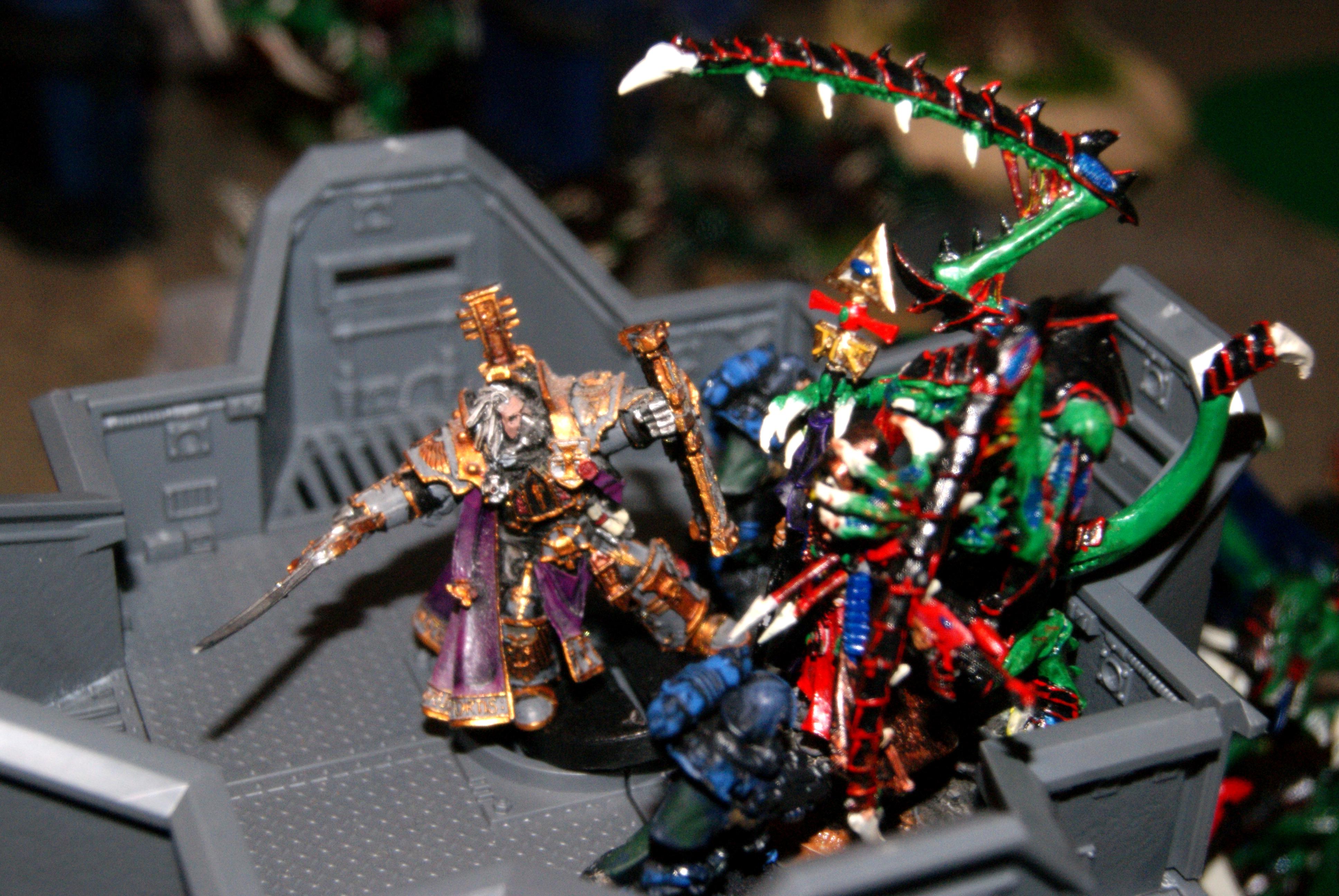 Coteazs' doom