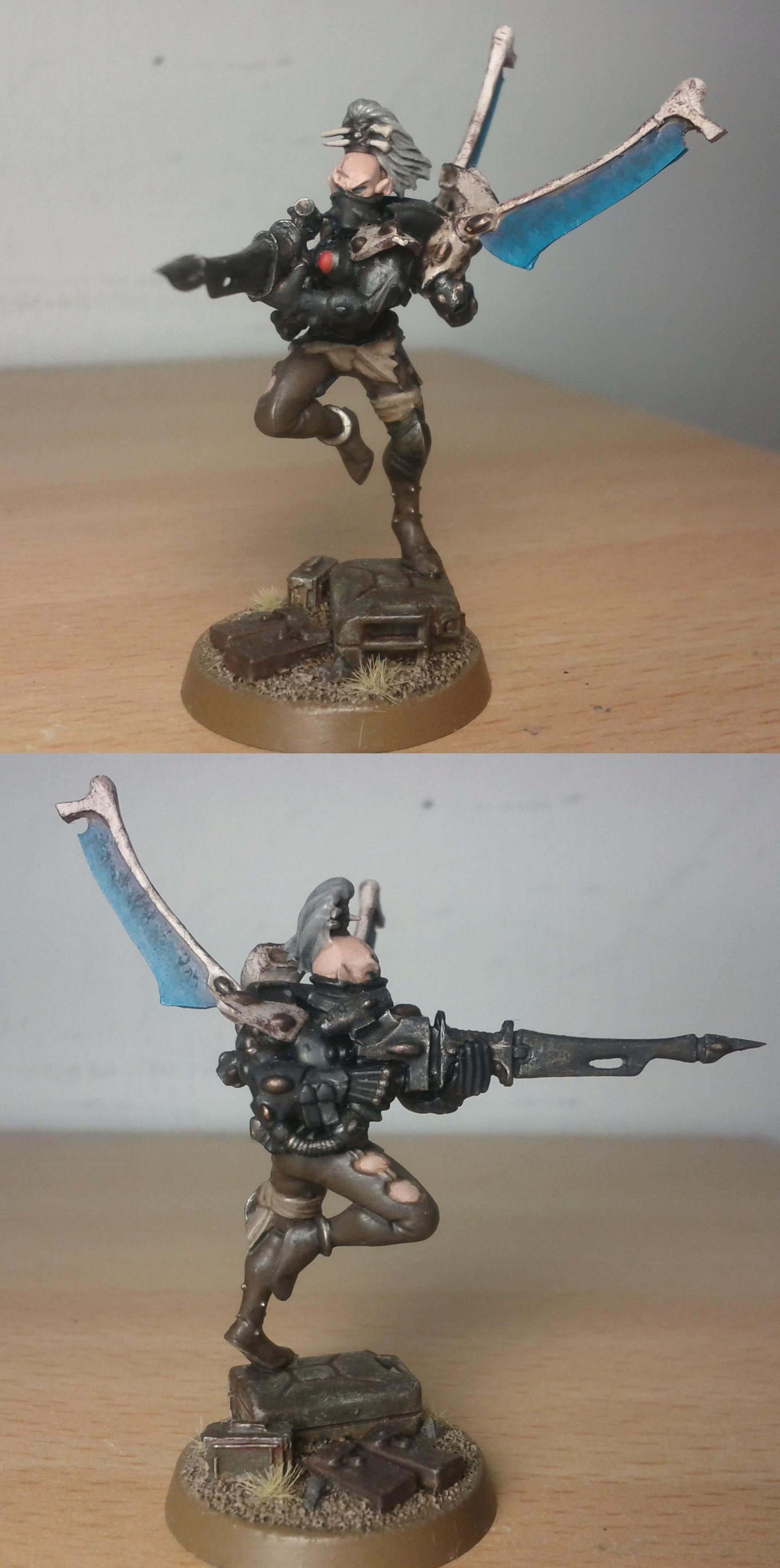 Swooping Hawk5