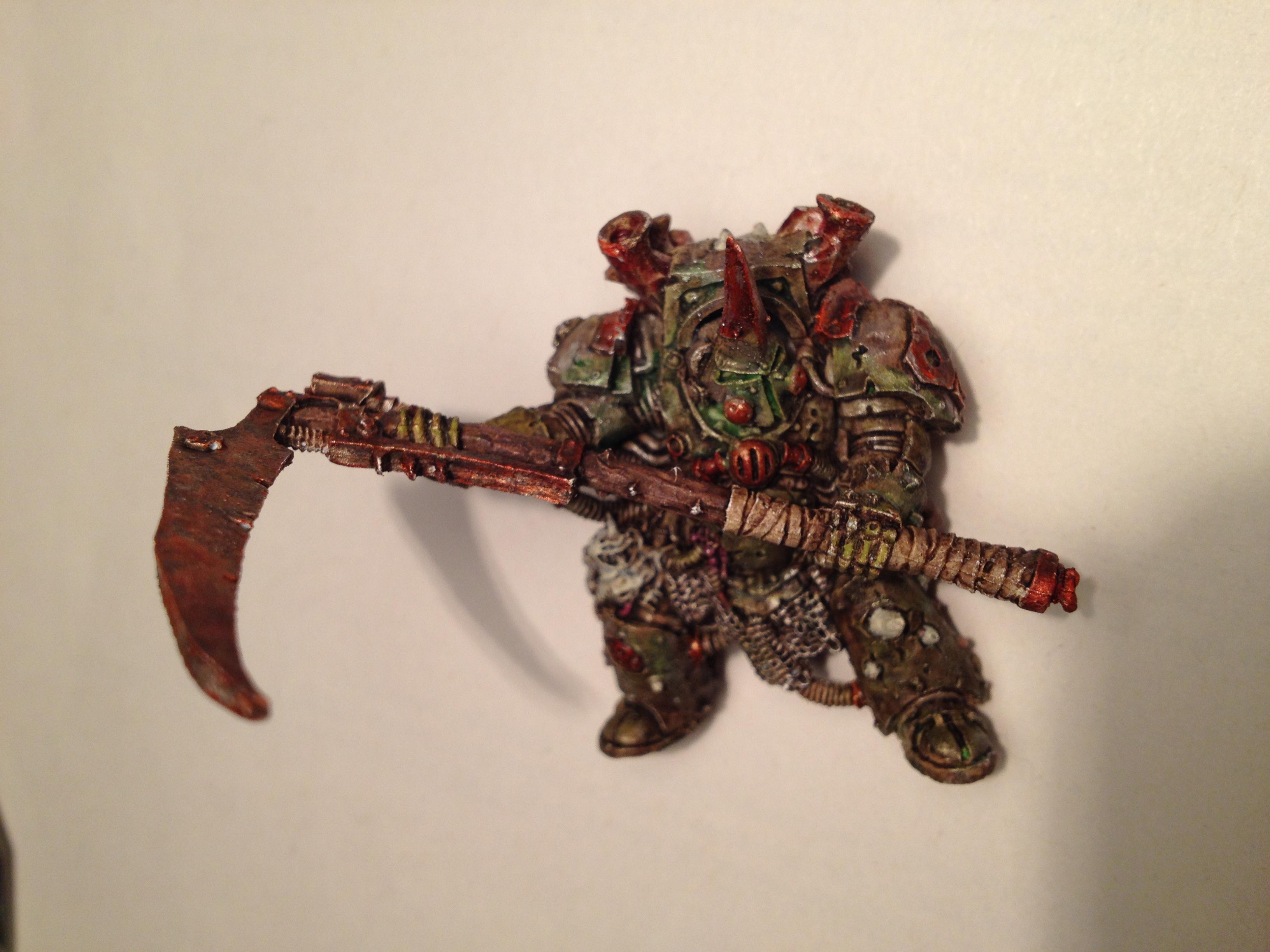 My Little Typhus