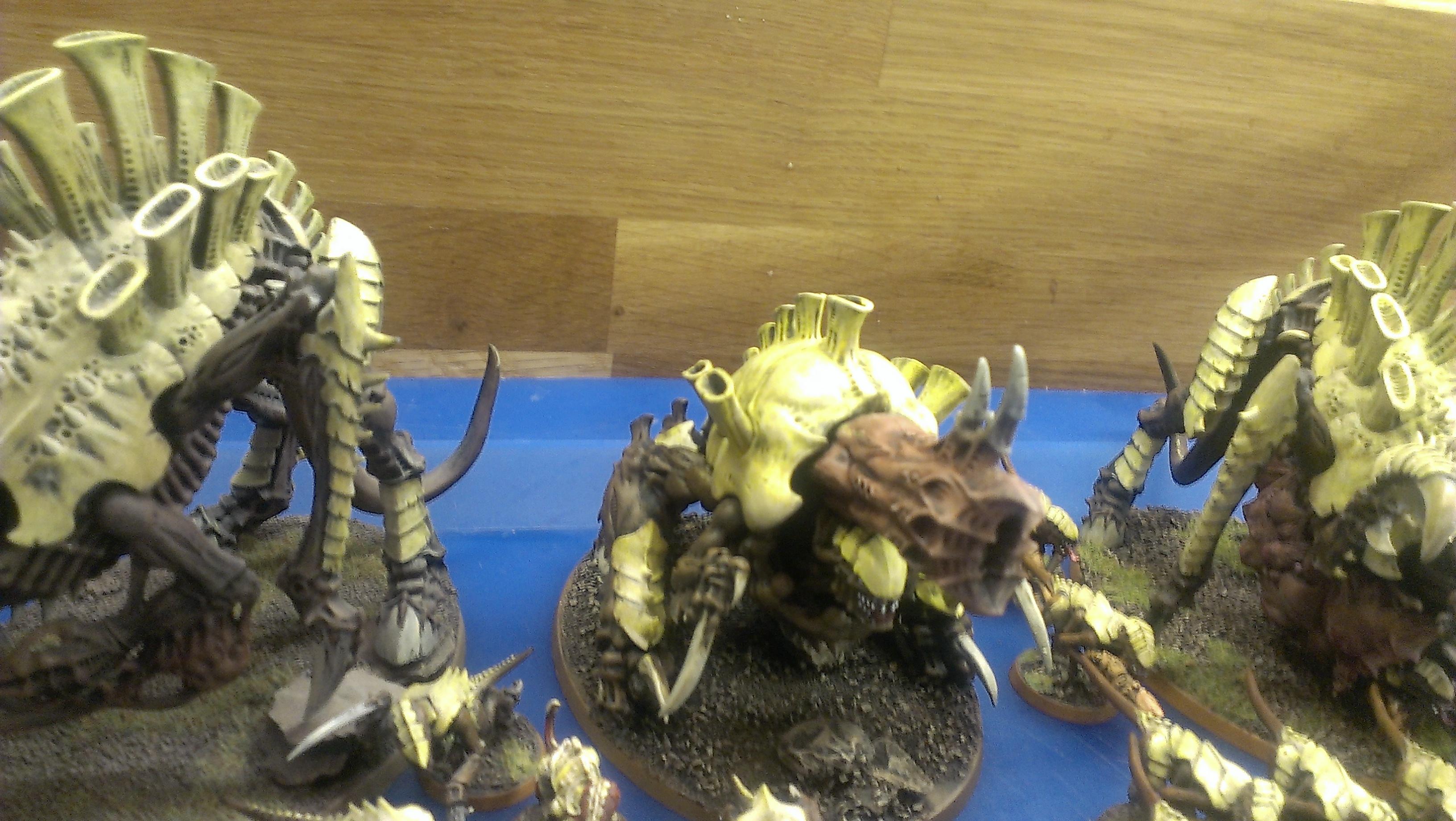 Battle Report, Space Marines, Tyranids