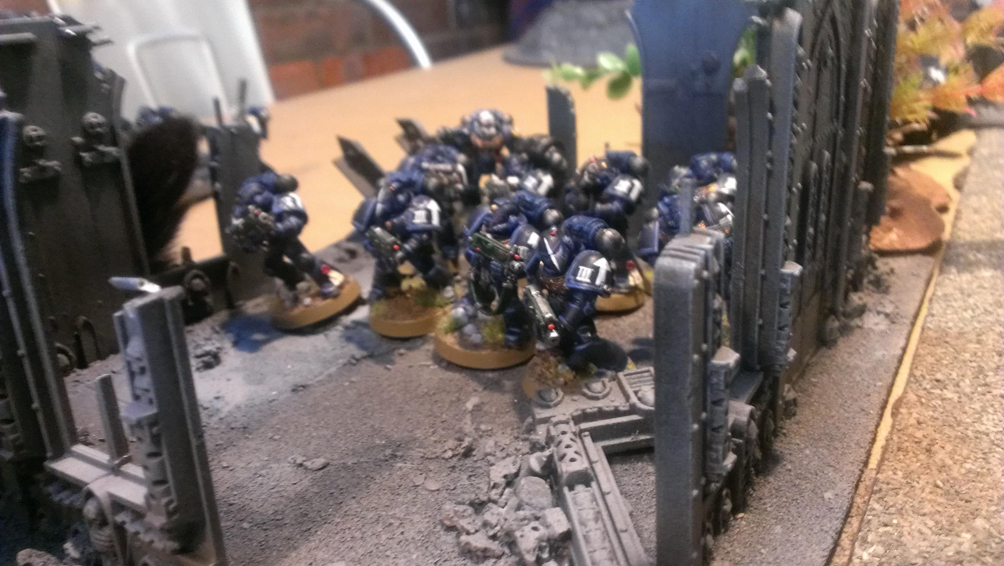 Battle Report, Beakies, Space Marines, Tyranids