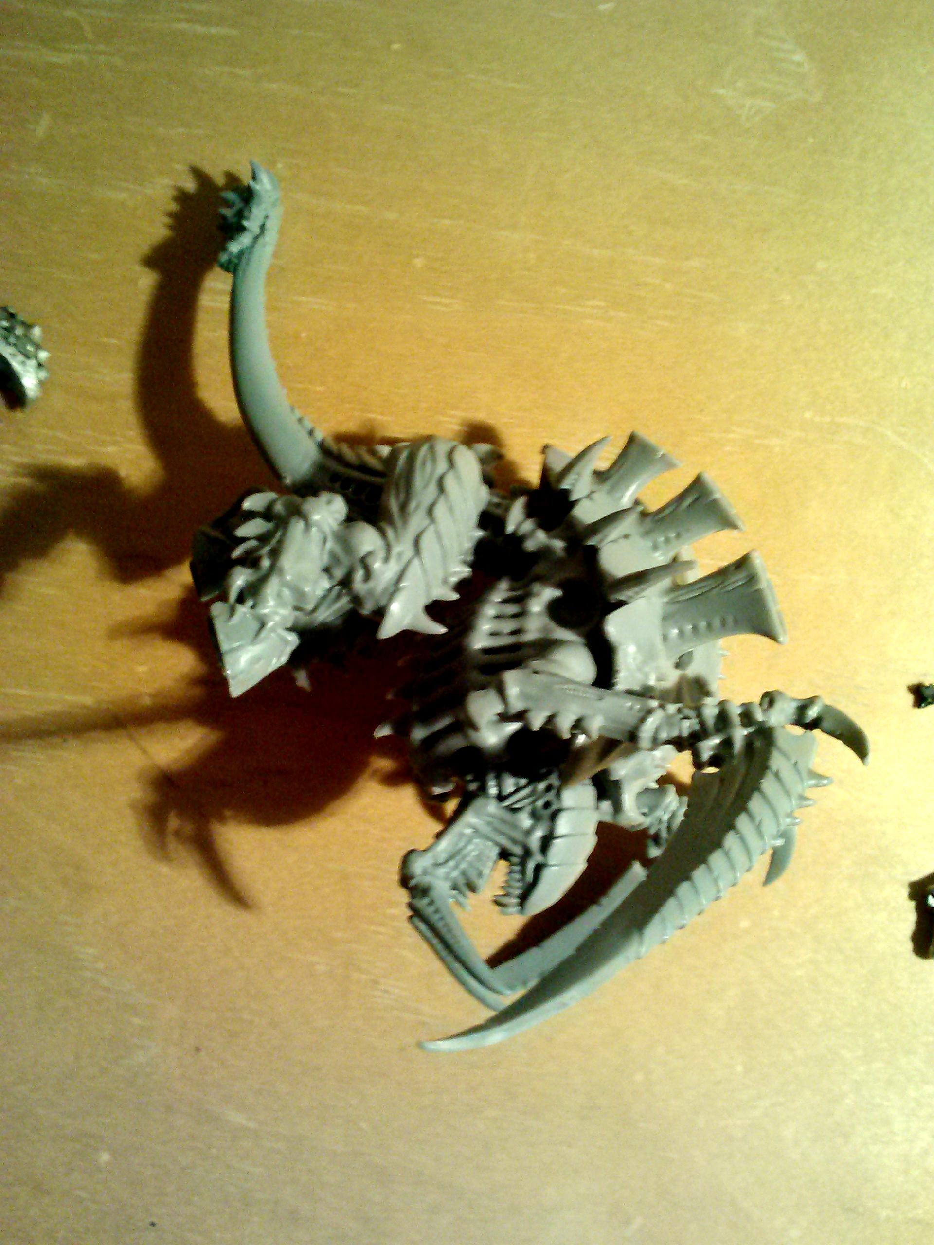 Newer fex pic 1 of 2