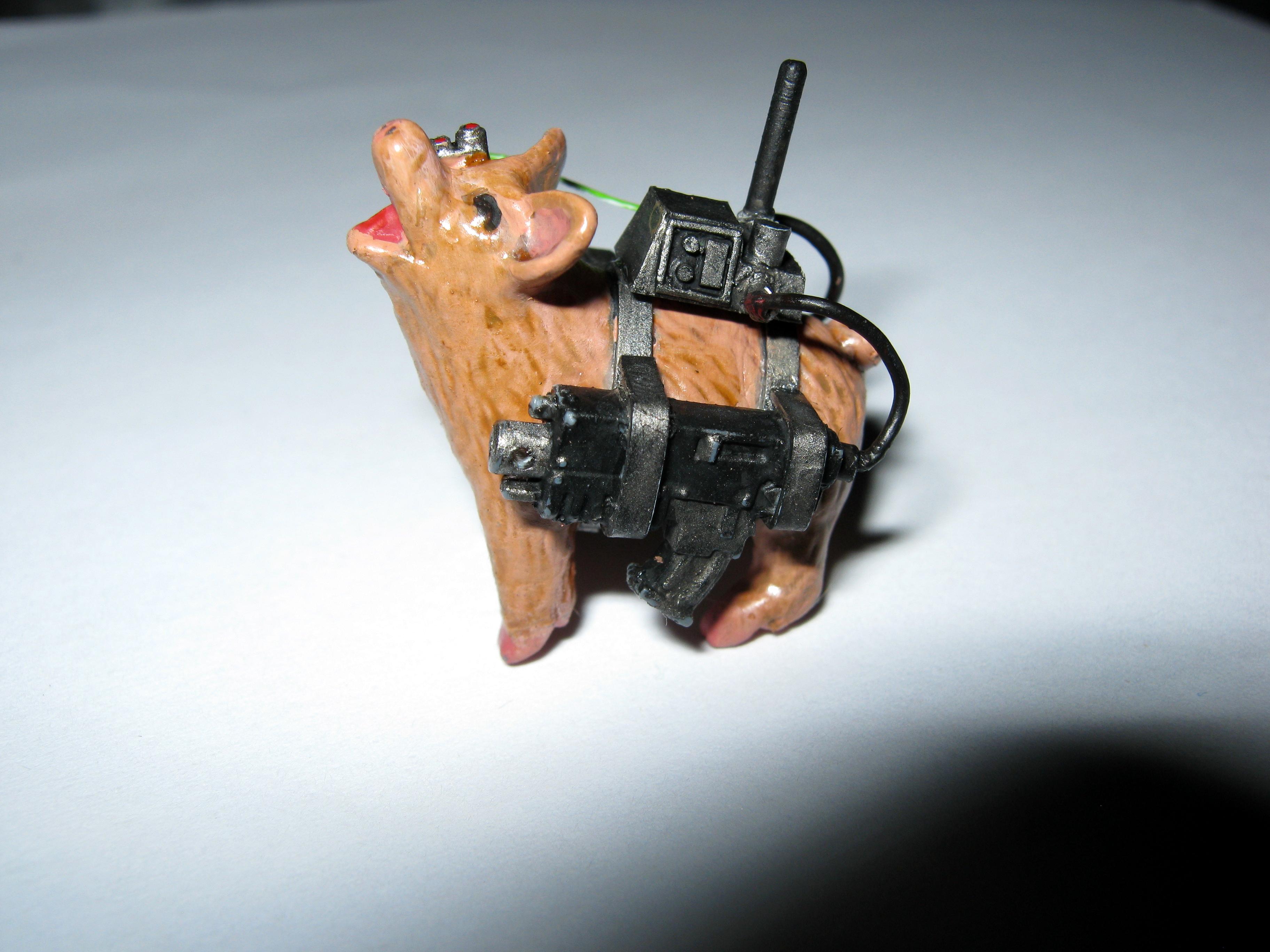 Assault, Ham Is Bad For You, Piggy