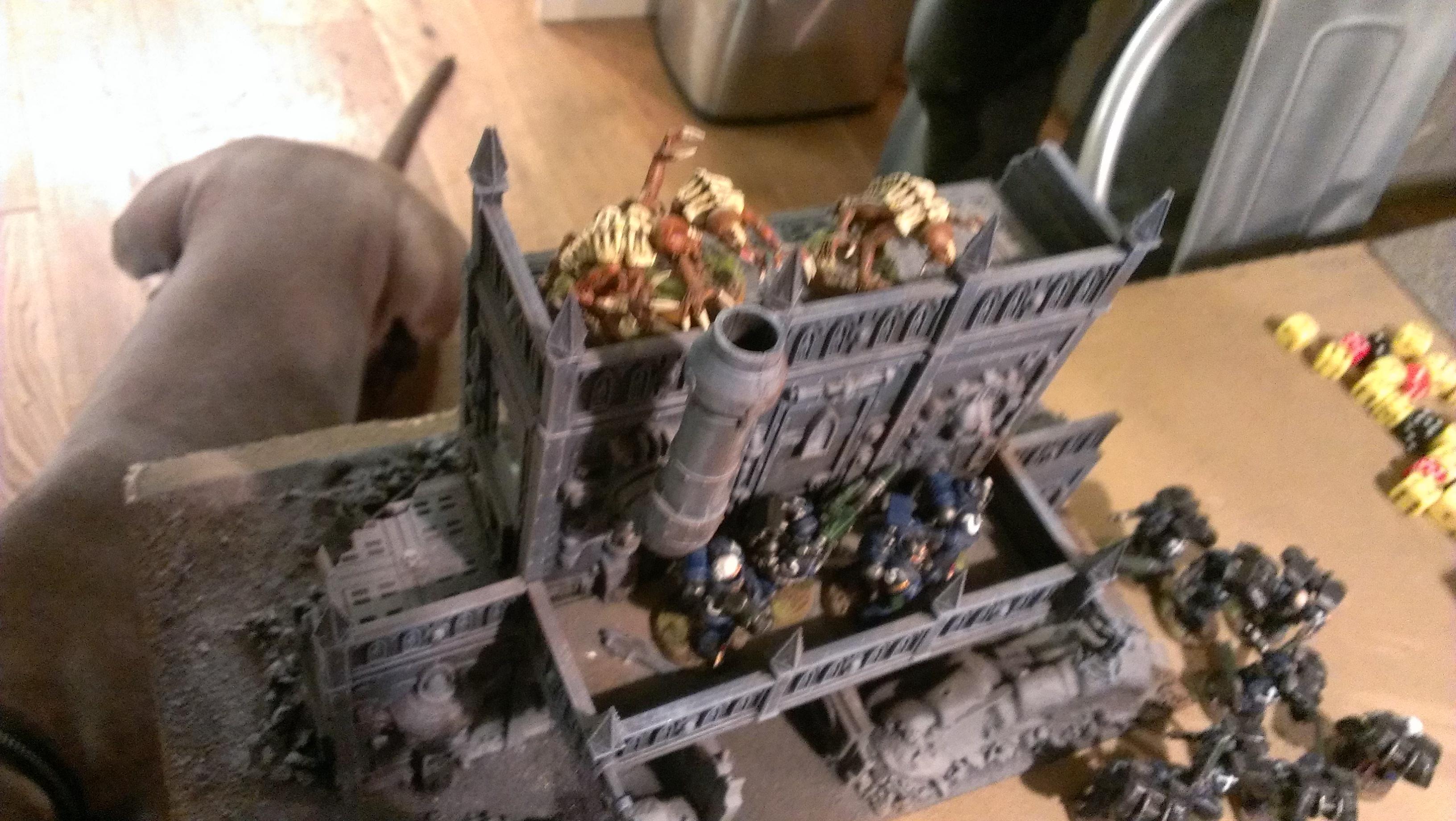 Battle Report, Space Marines, Tyranids
