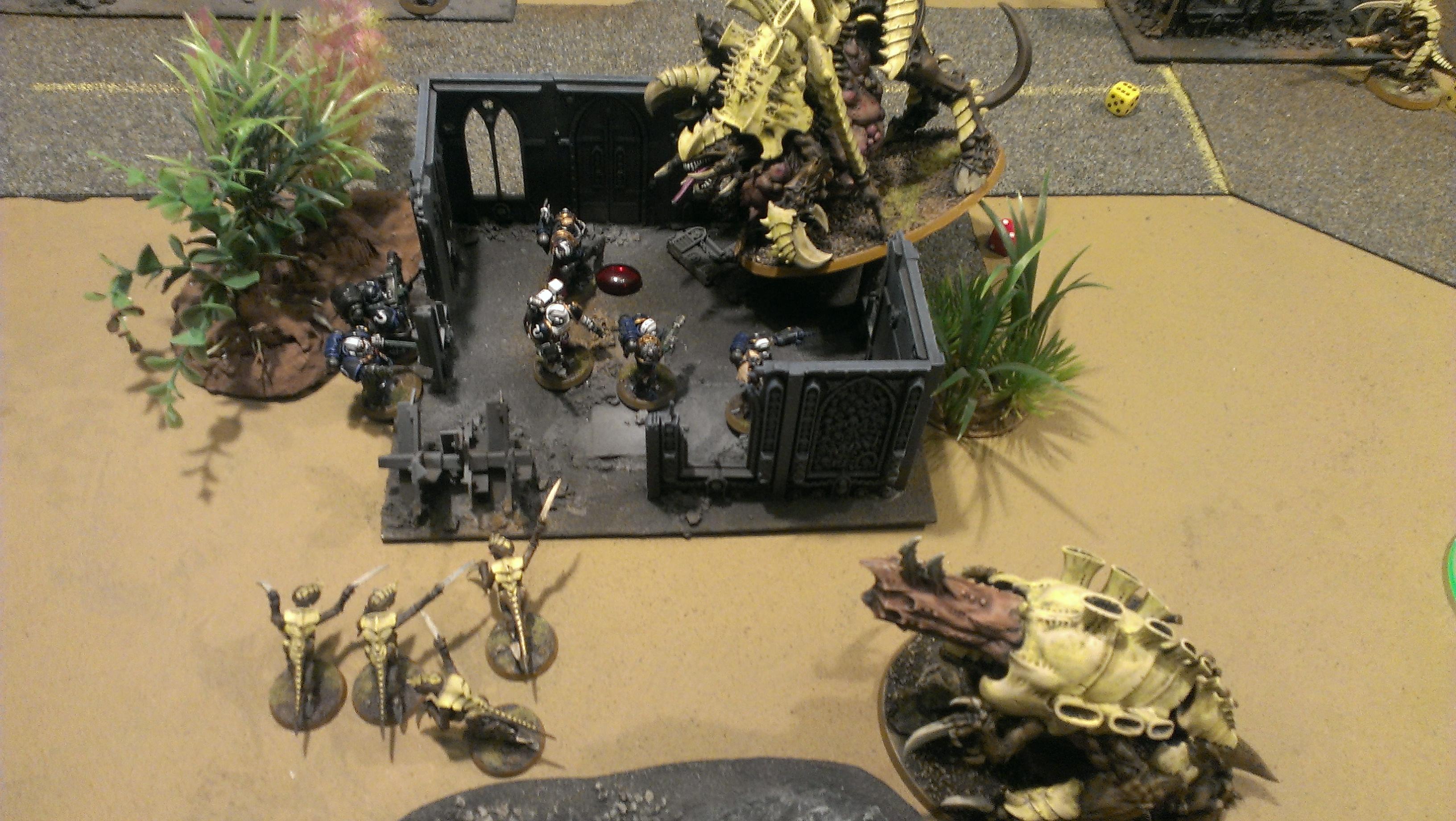 Battle Report, Space Marines, Tyranids